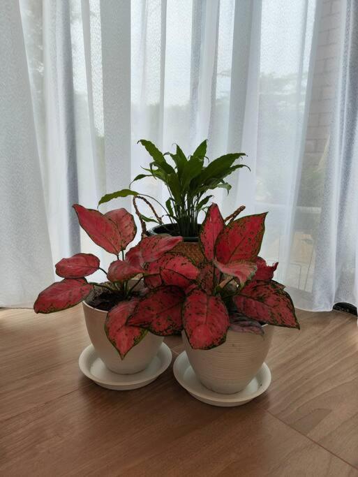 Photo 32