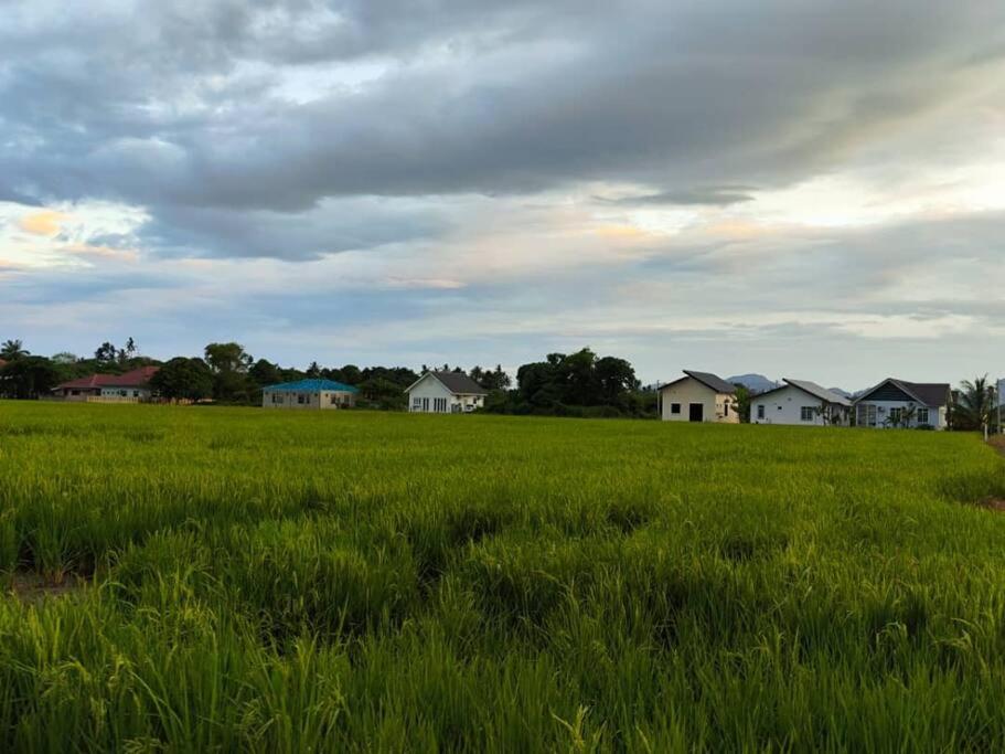 Mai Paddy Cottage, Balik Pulau view 4