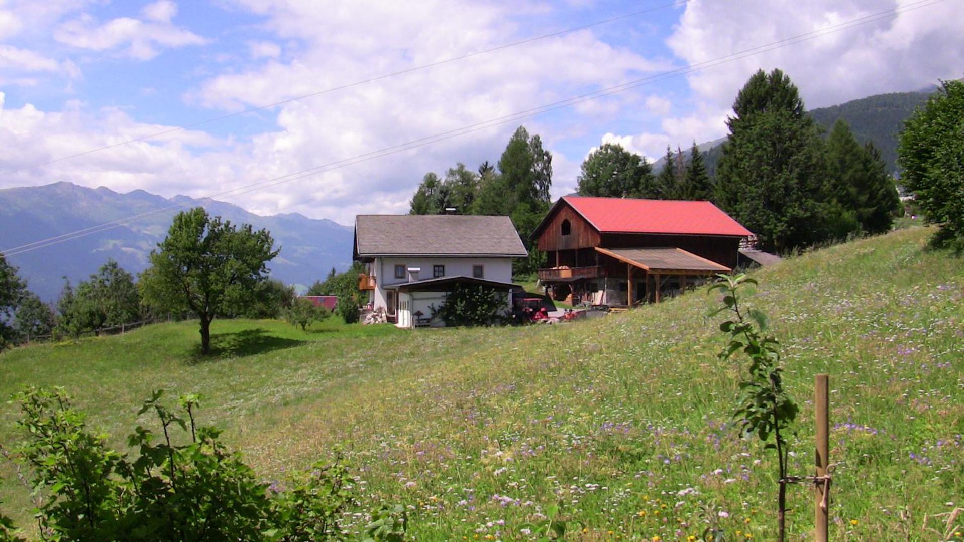 Photo 21