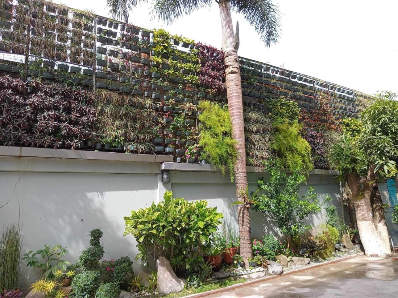 Maharlika's Peak a Dog-Friendly Tagaytay House