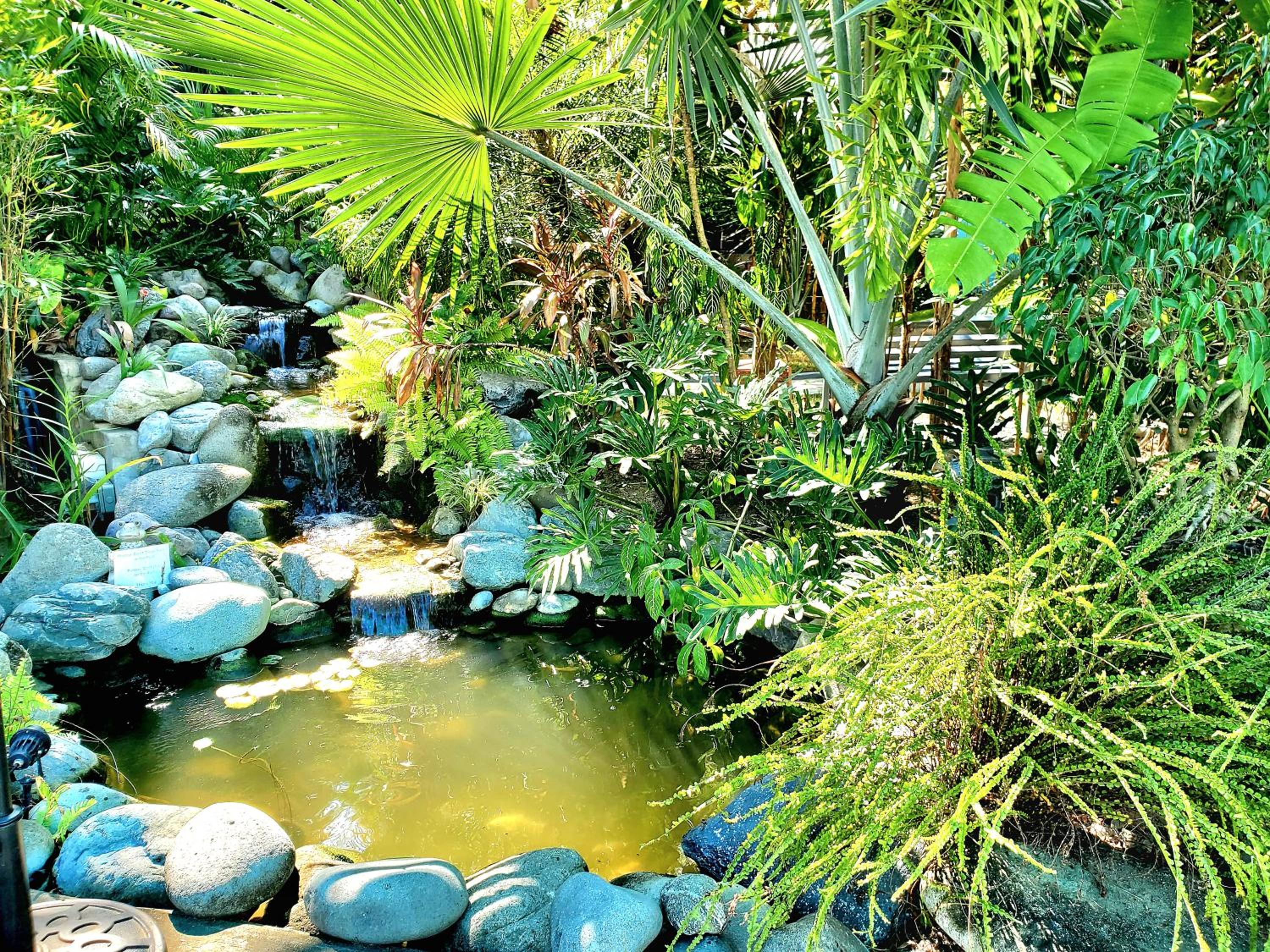 Hidden Palms Inn Small Group view 4