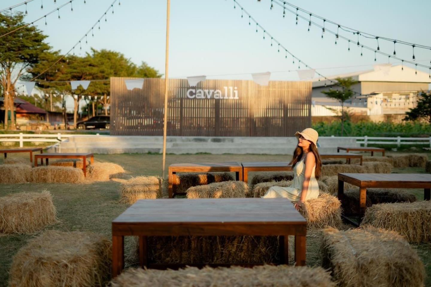 The Cavalli Casa Resort