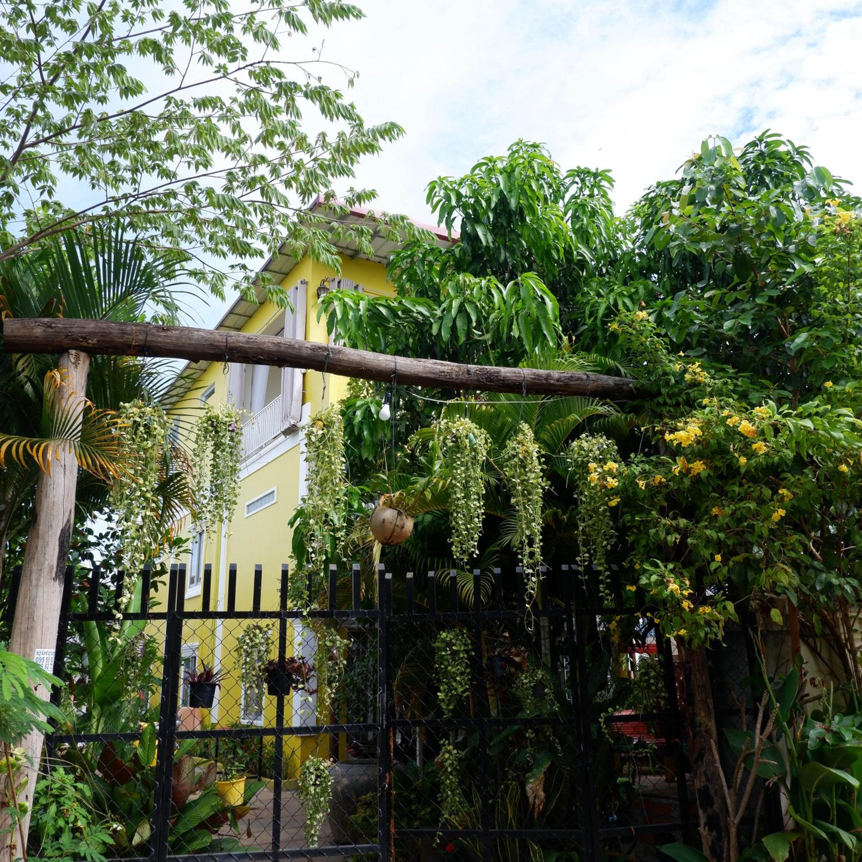 Homestay Yellow Natural House