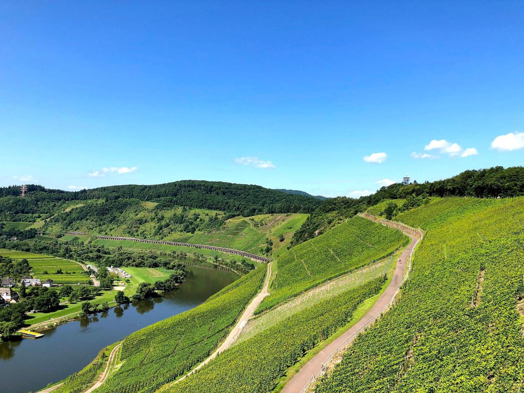 Mosel Fewo43