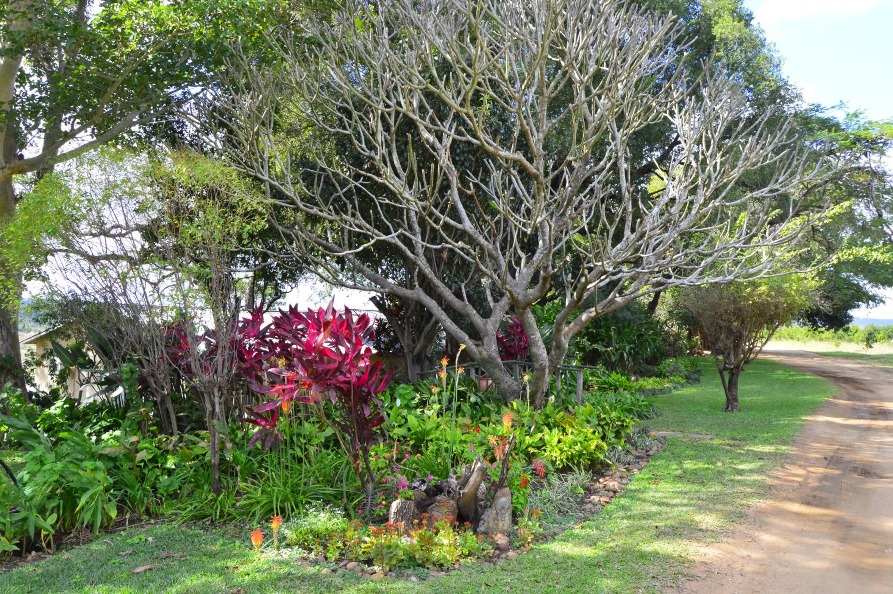 Photo 28