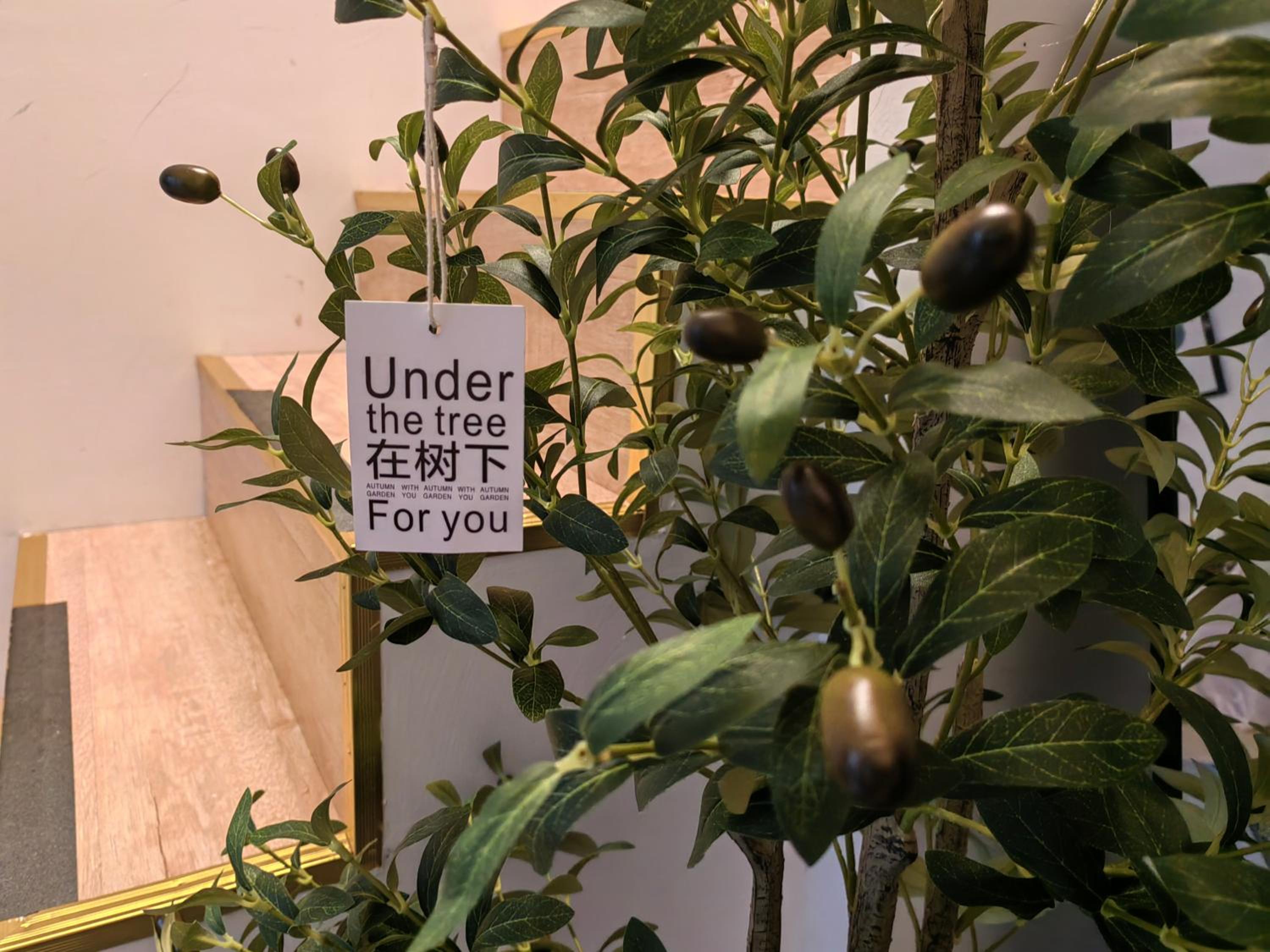 Chinese new year style Shanghai Garden Historical loft Apartment with courtyard and citywalk- Near Downtown Wukang Road