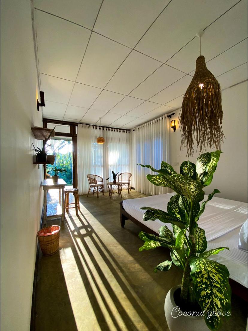 Coconut Grove - Midigama view 2