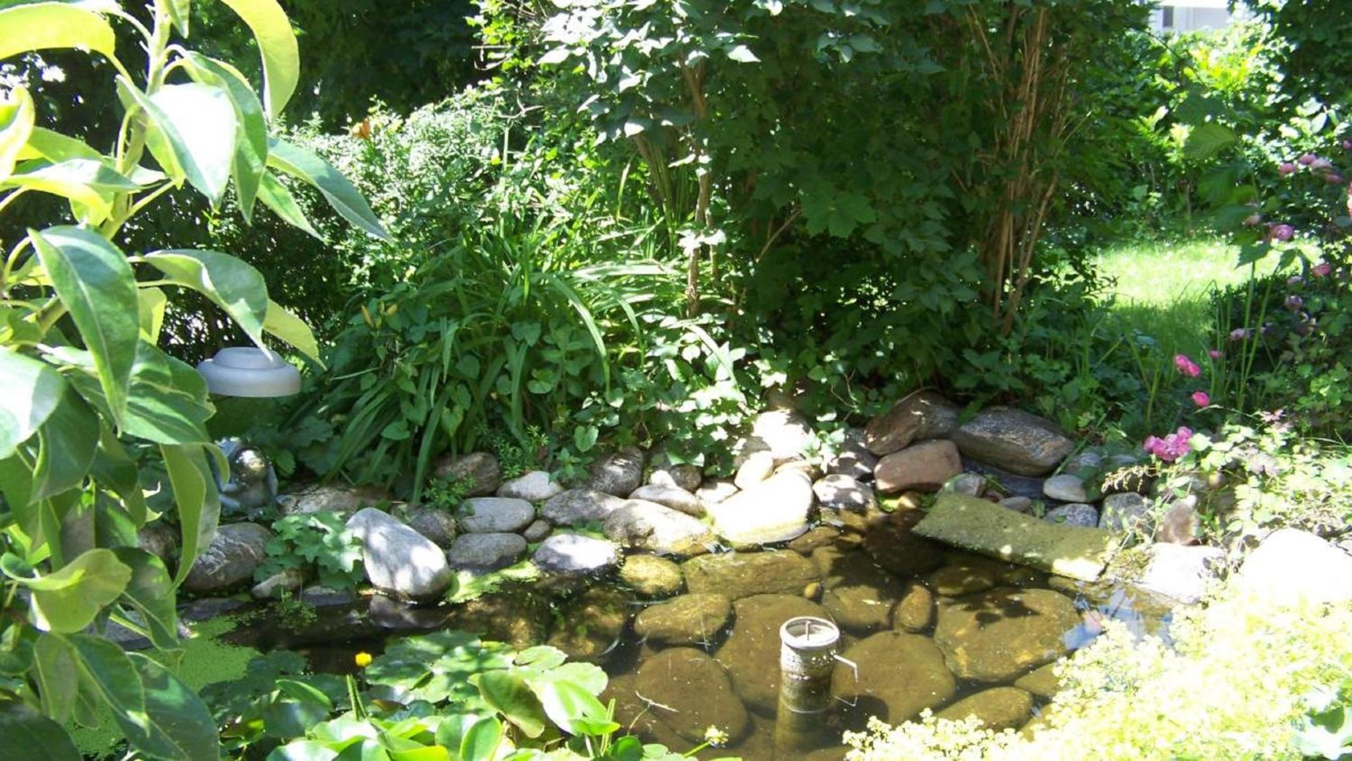 Photo 9