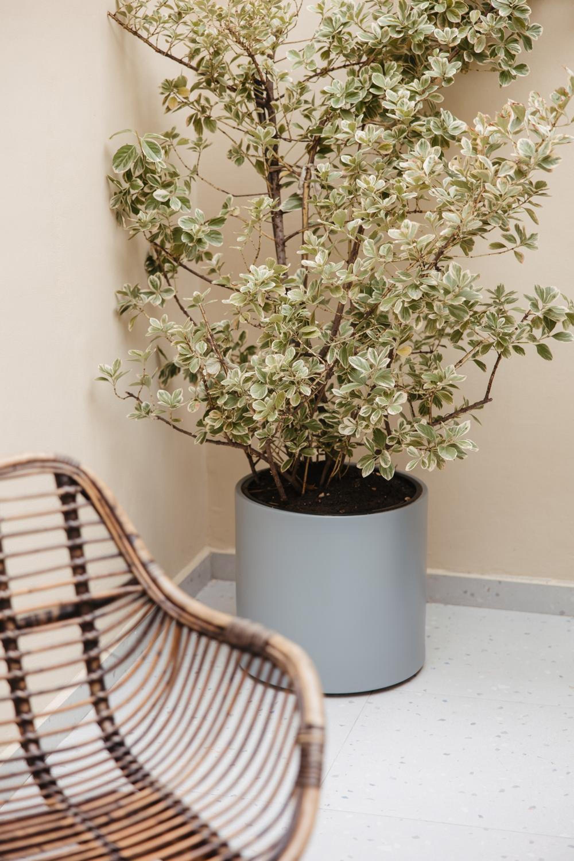 GreyGreen by Holistay