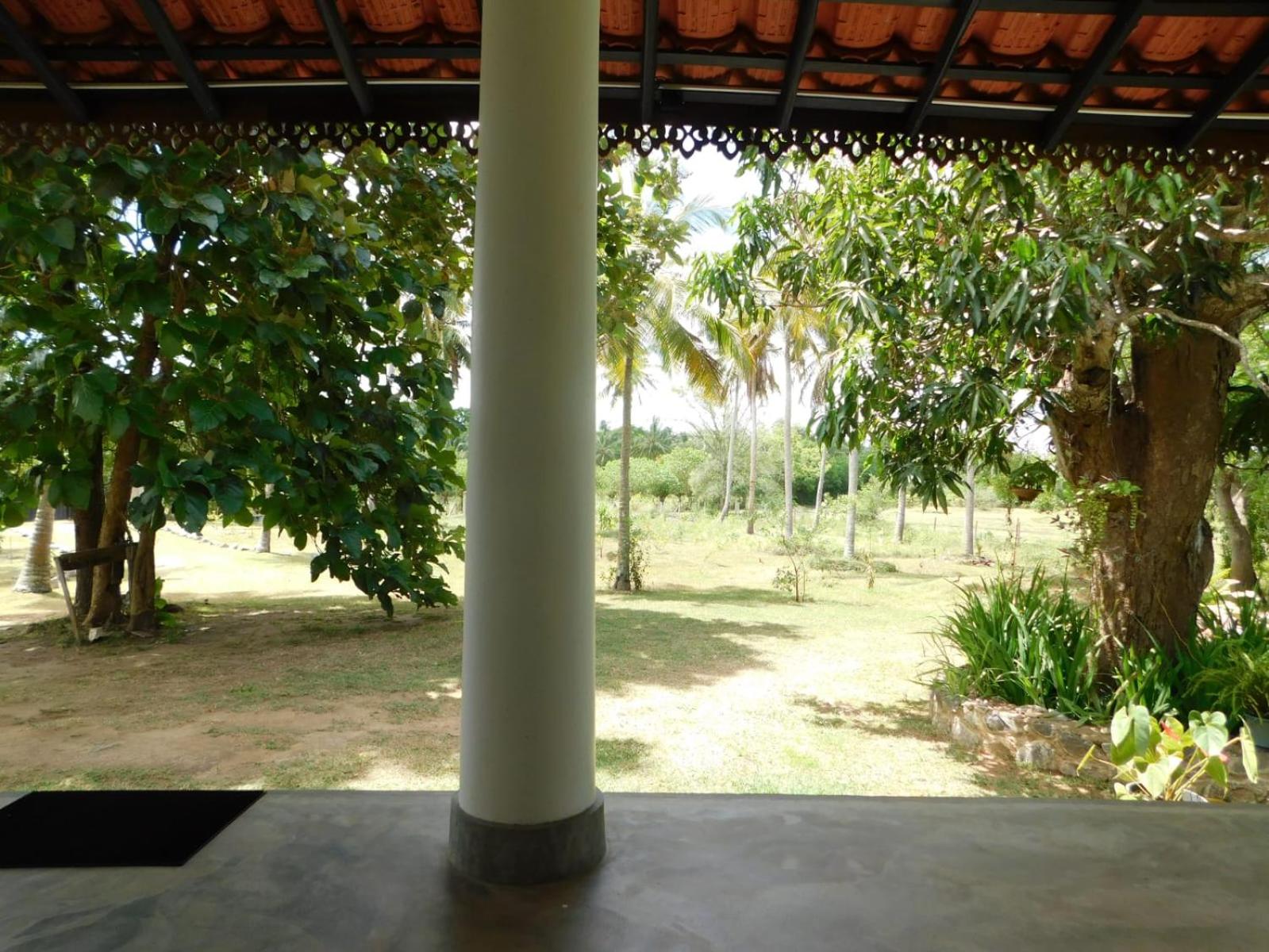 Antique Villa