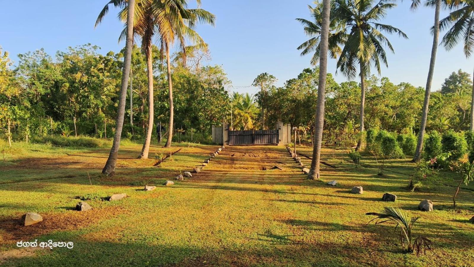 Antique Villa
