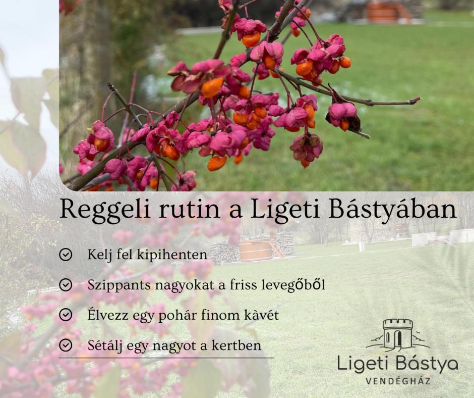 Ligeti Bástya Vendégház