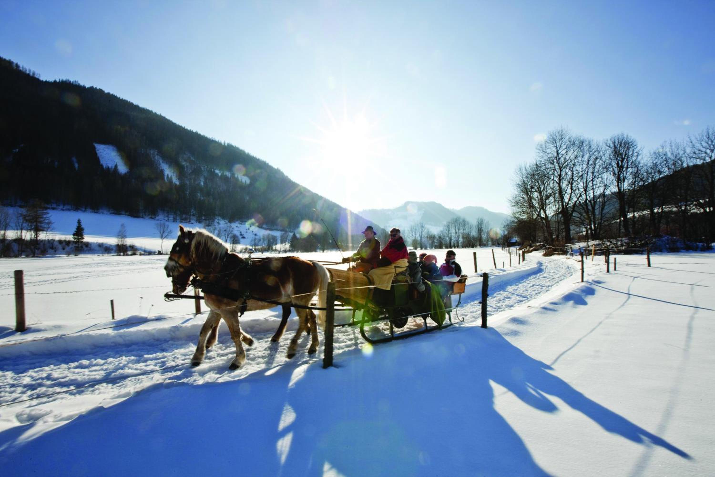 Wohlfühlpension Kreischberg inklusive MurauGästeCard