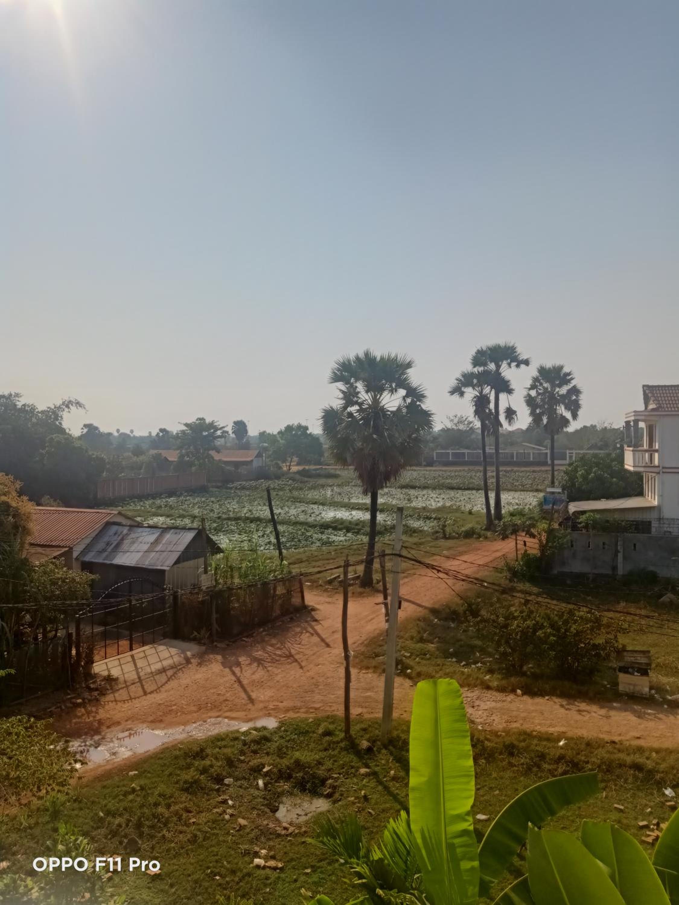 Homestay Yellow Natural House