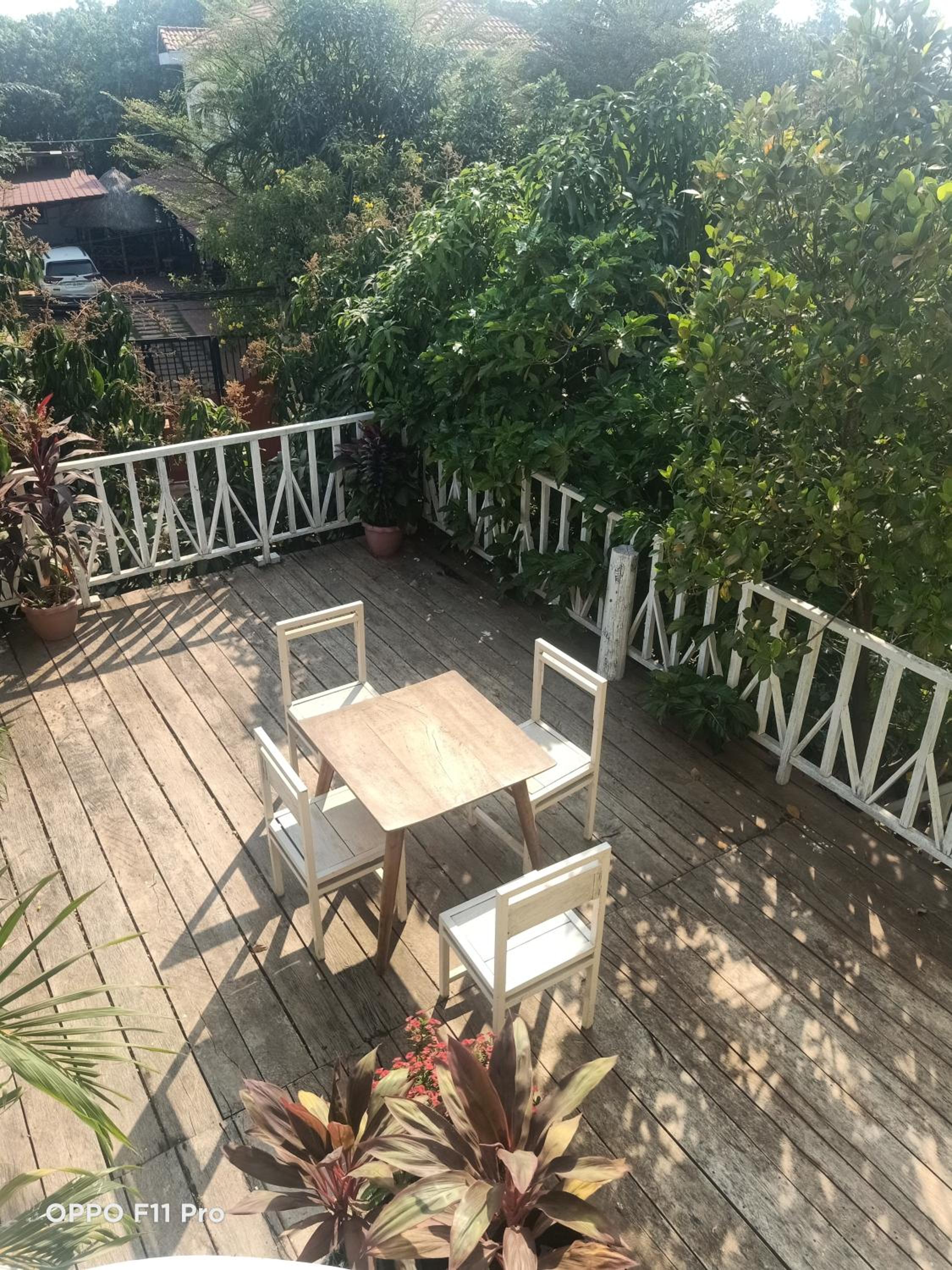 Homestay Yellow Natural House