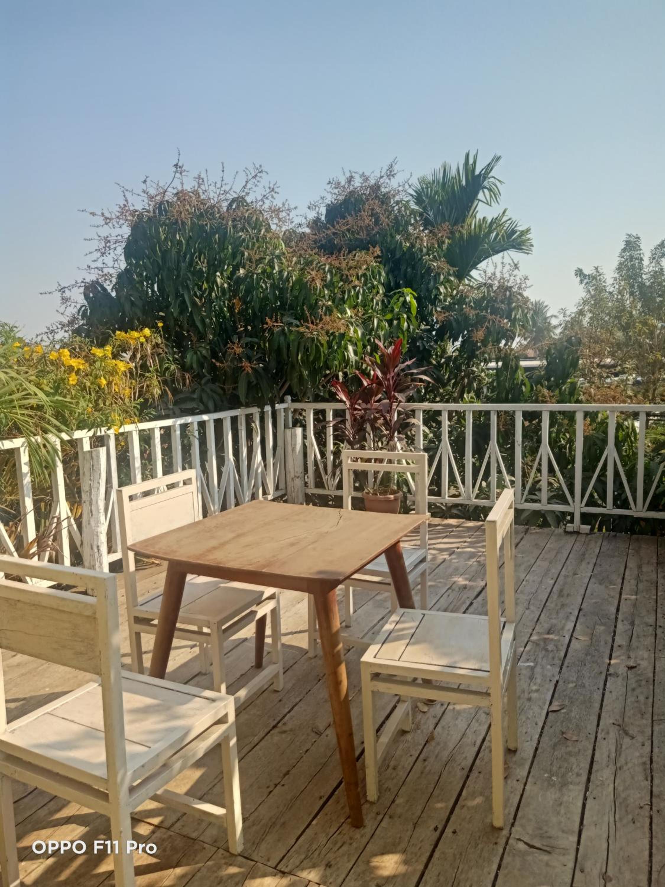 Homestay Yellow Natural House
