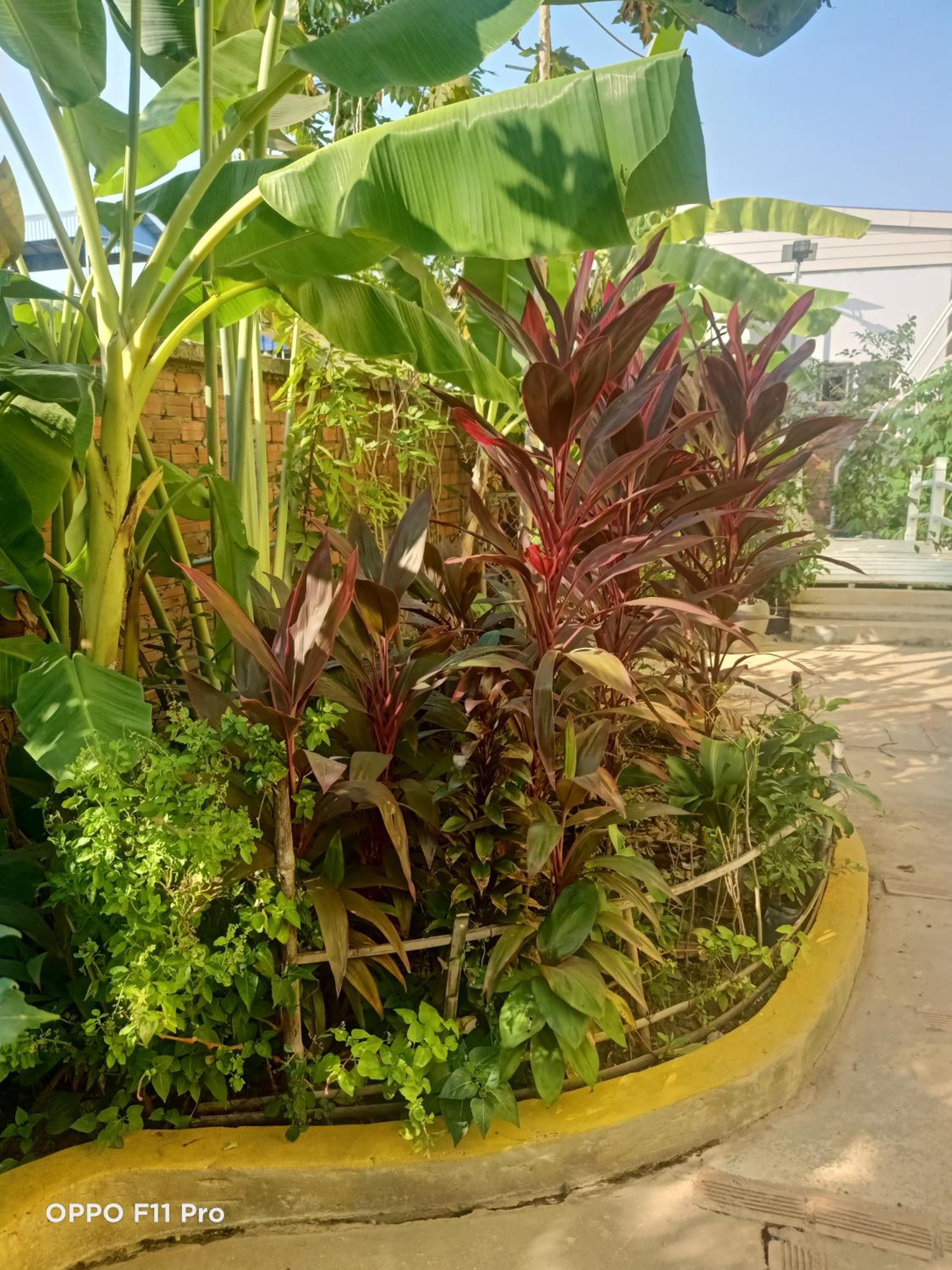 Homestay Yellow Natural House