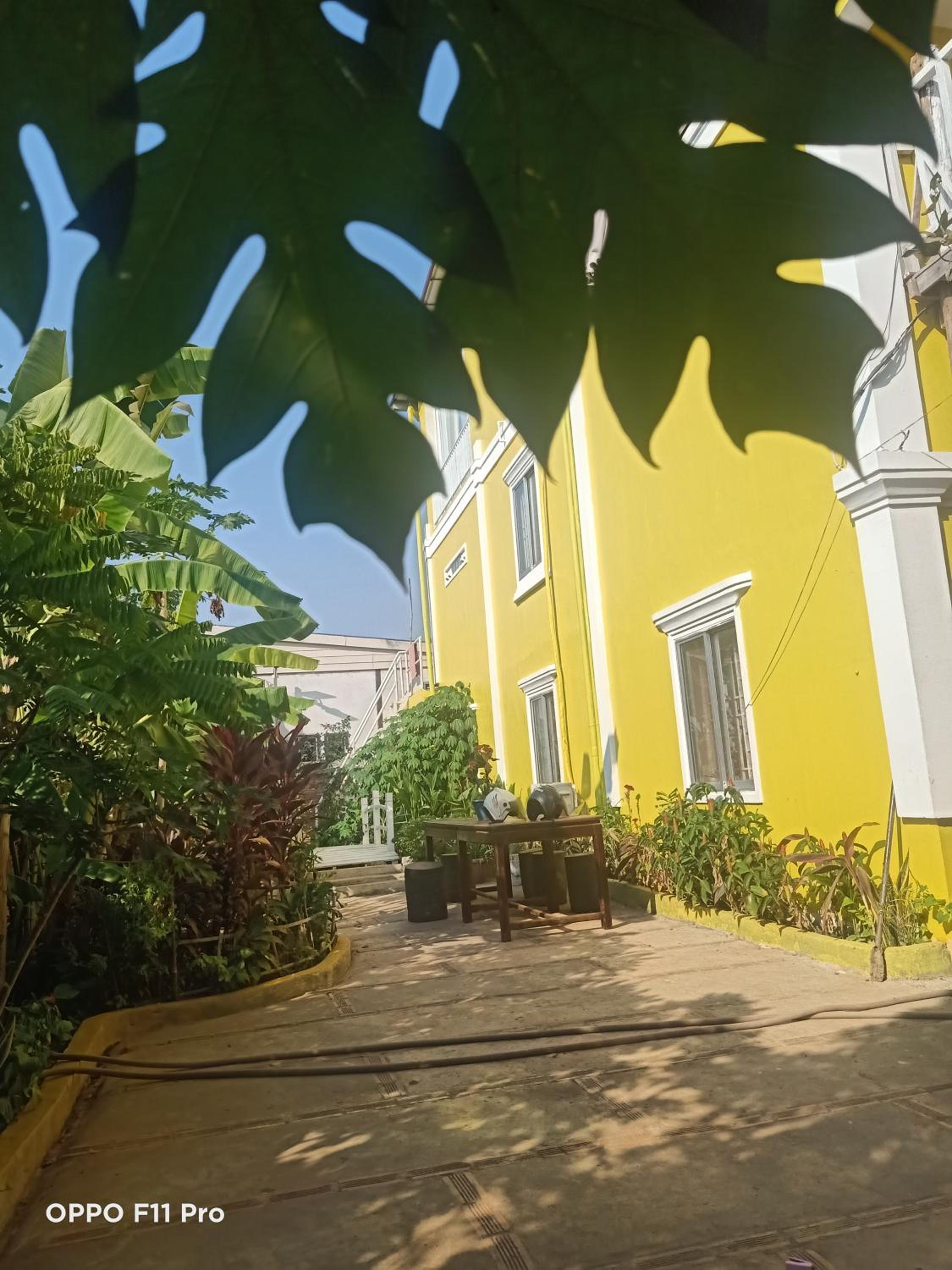 Homestay Yellow Natural House