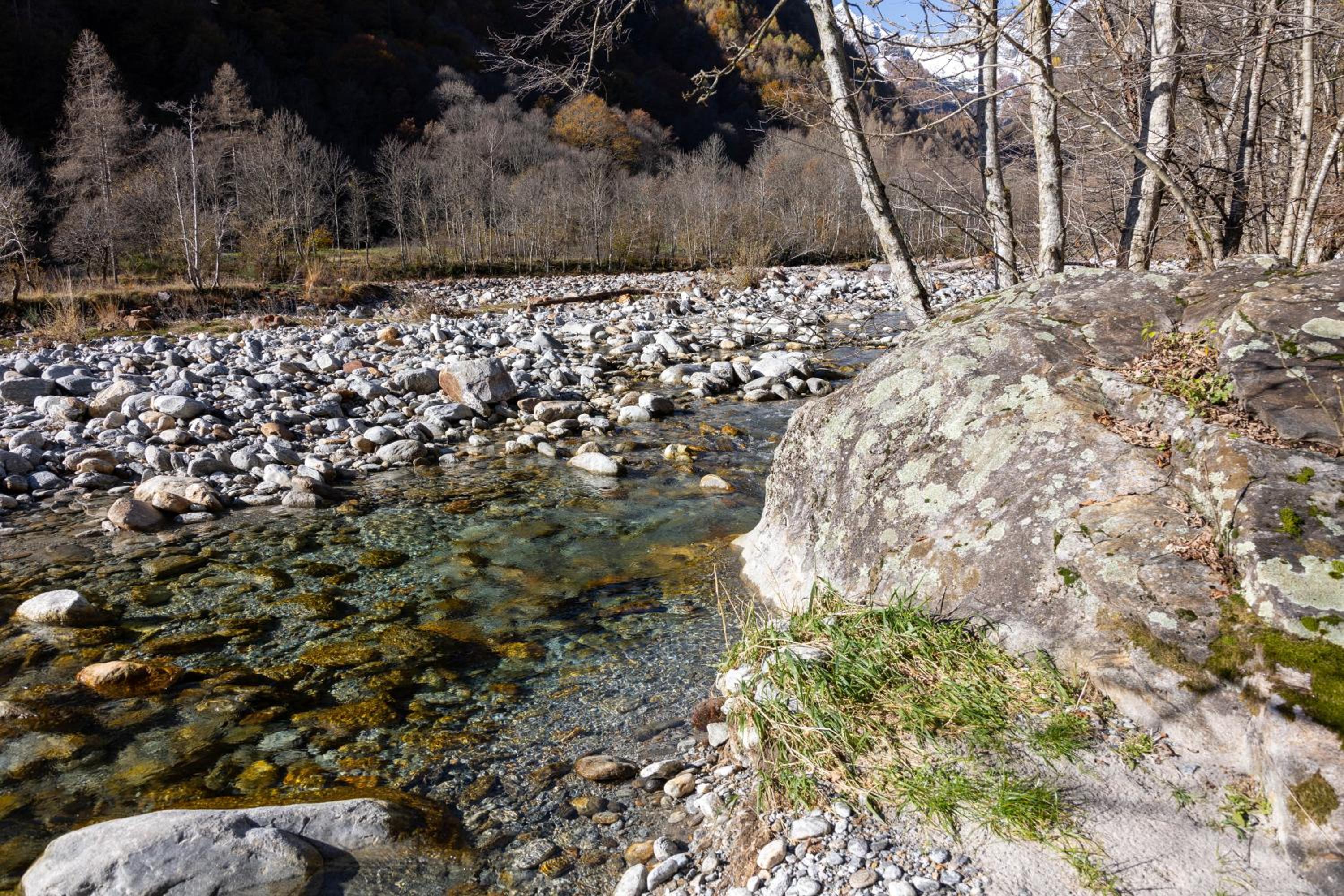 Verzasca Lodge Elma