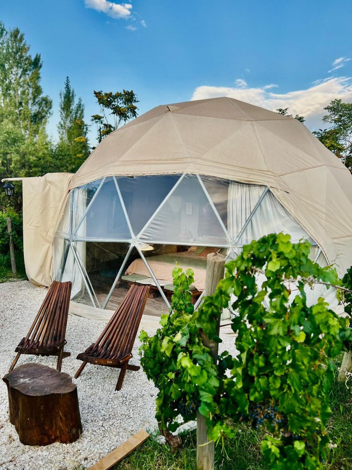 Entre racimos, glamping entre viñedos en bodega