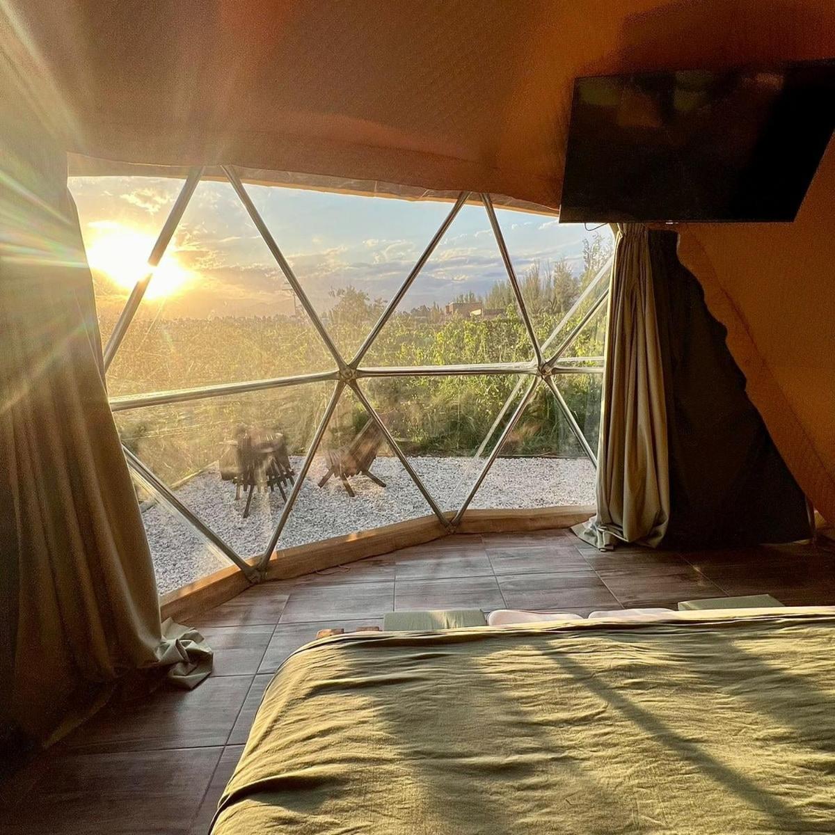 Entre racimos, glamping entre viñedos en bodega