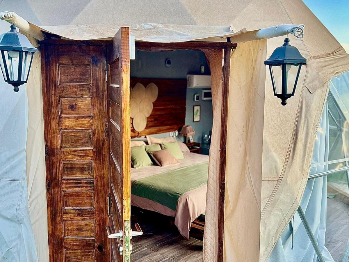Entre racimos, glamping entre viñedos en bodega