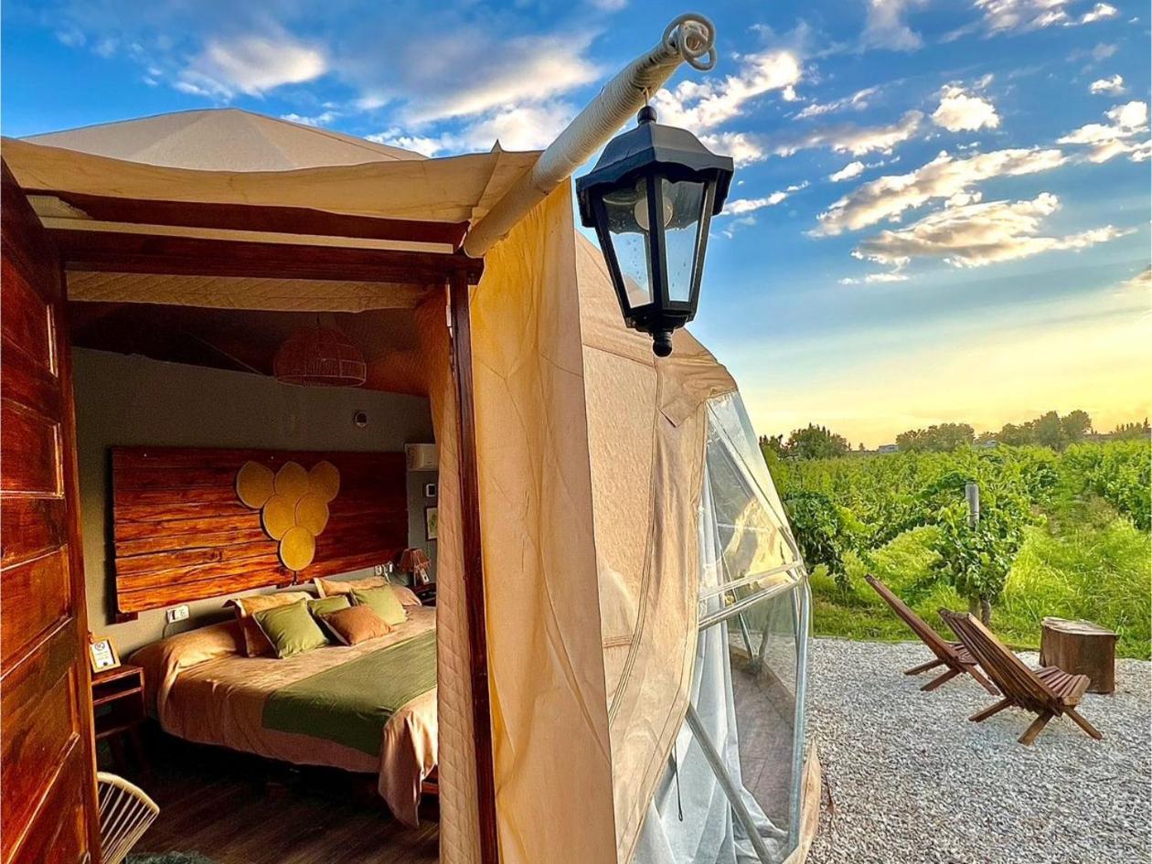 Entre racimos, glamping entre viñedos en bodega