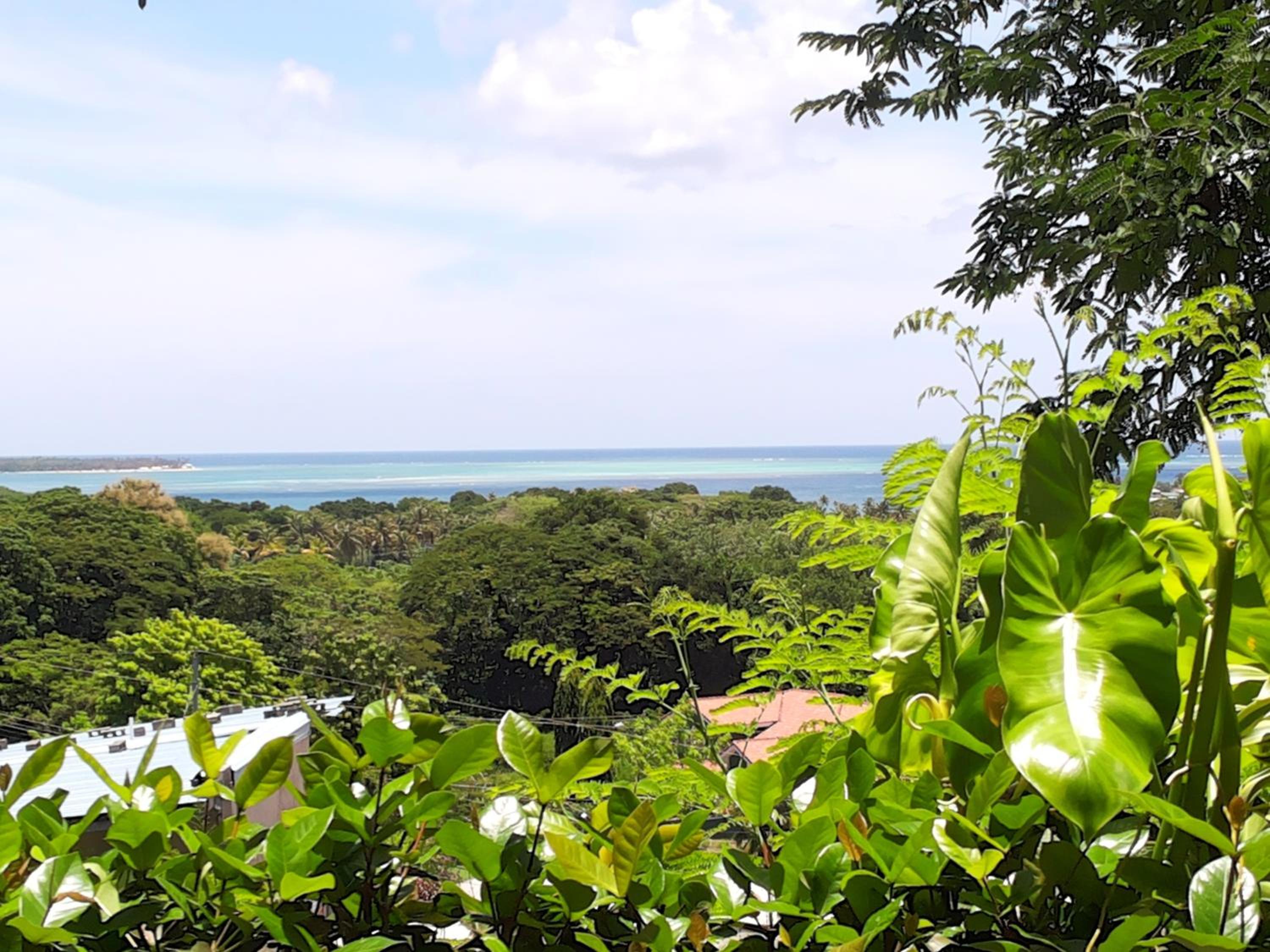 The Nest Tobago Apartments