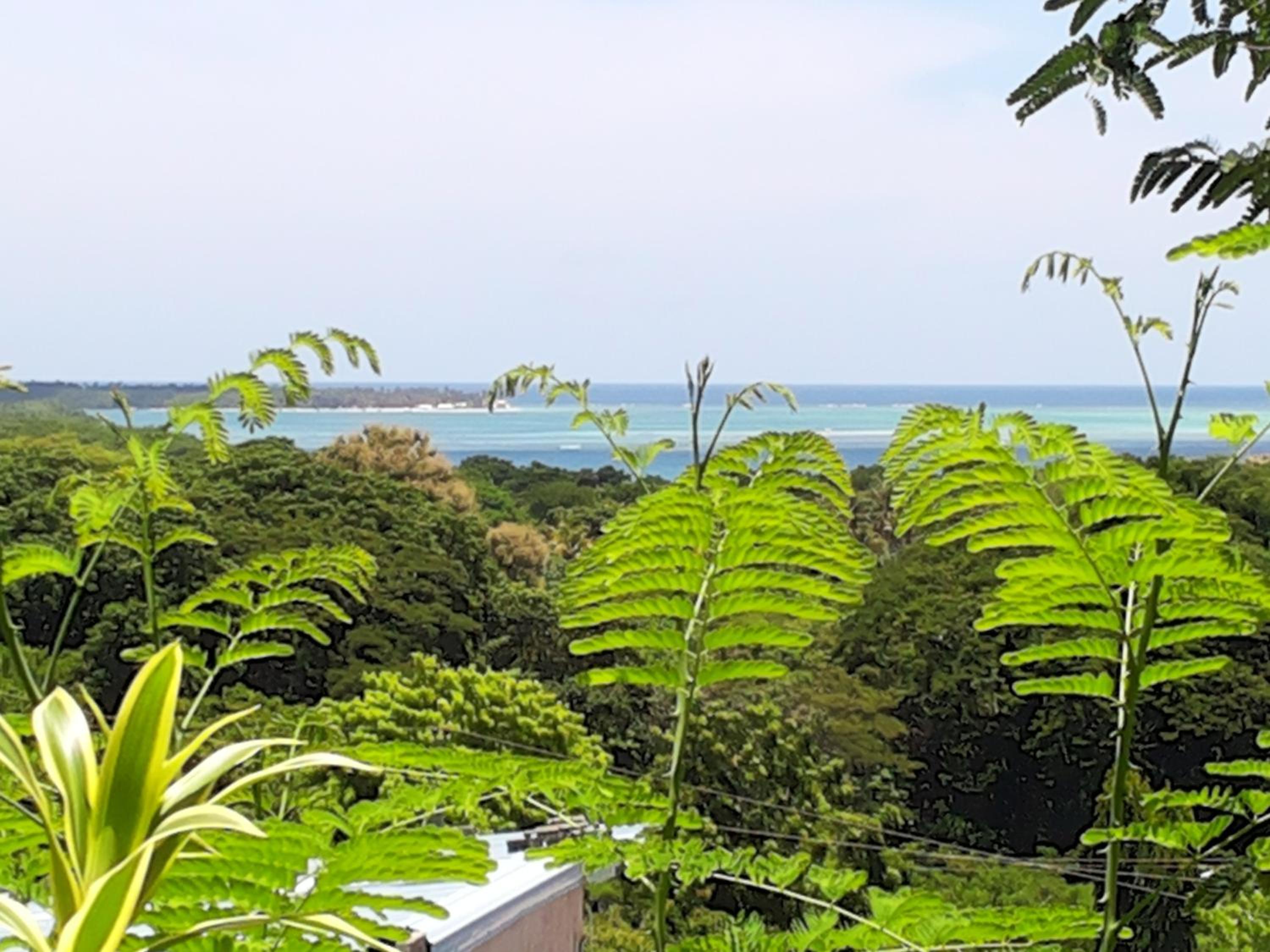 The Nest Tobago Apartments