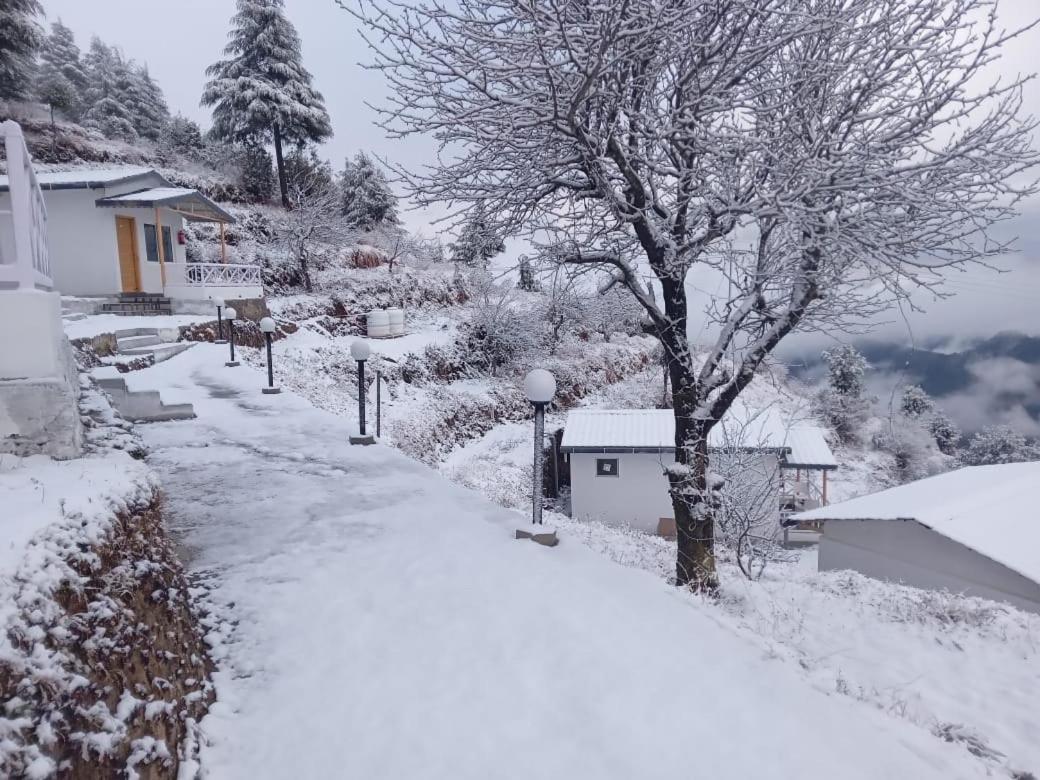 The Deodar Stays view 5