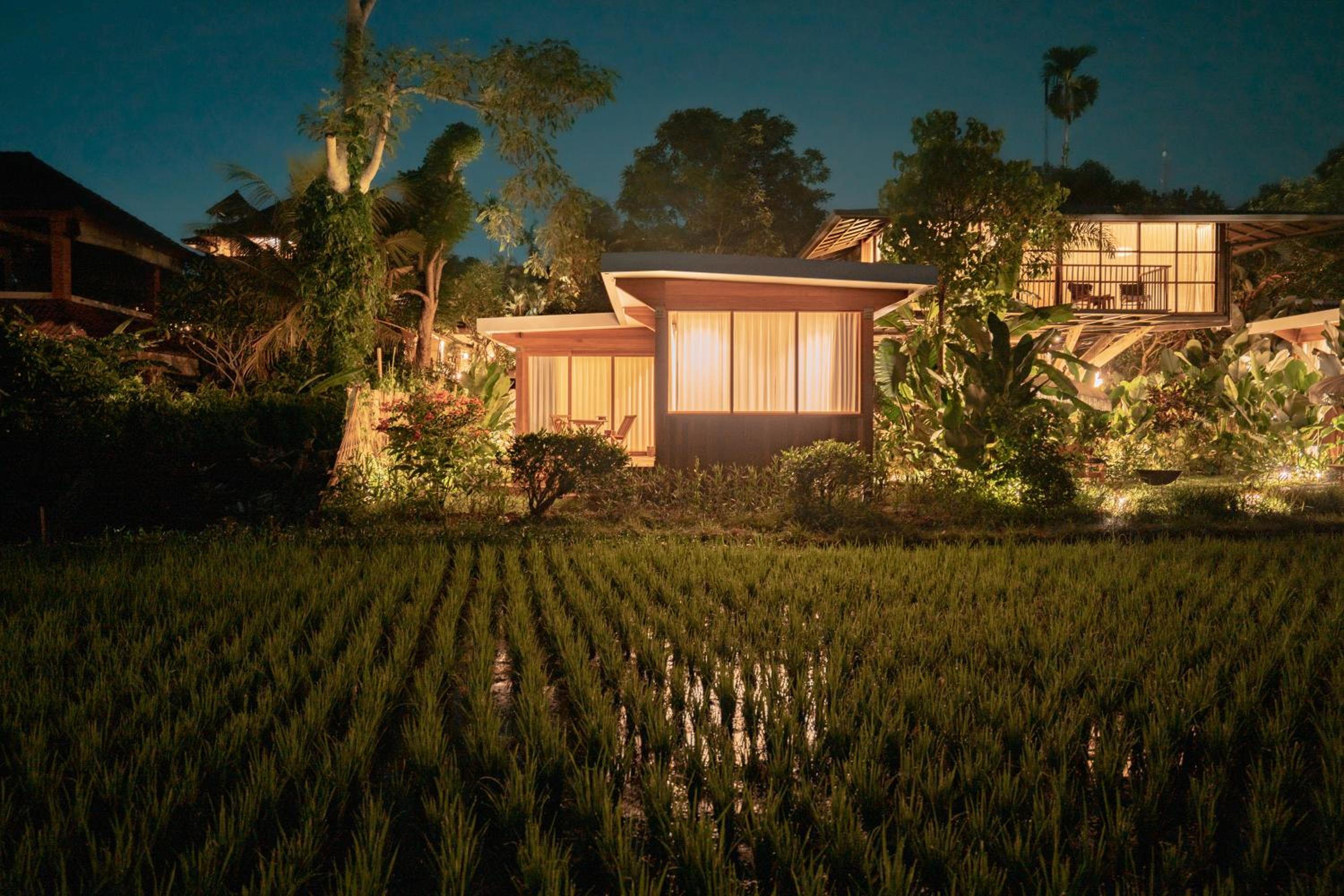 Grün Ubud