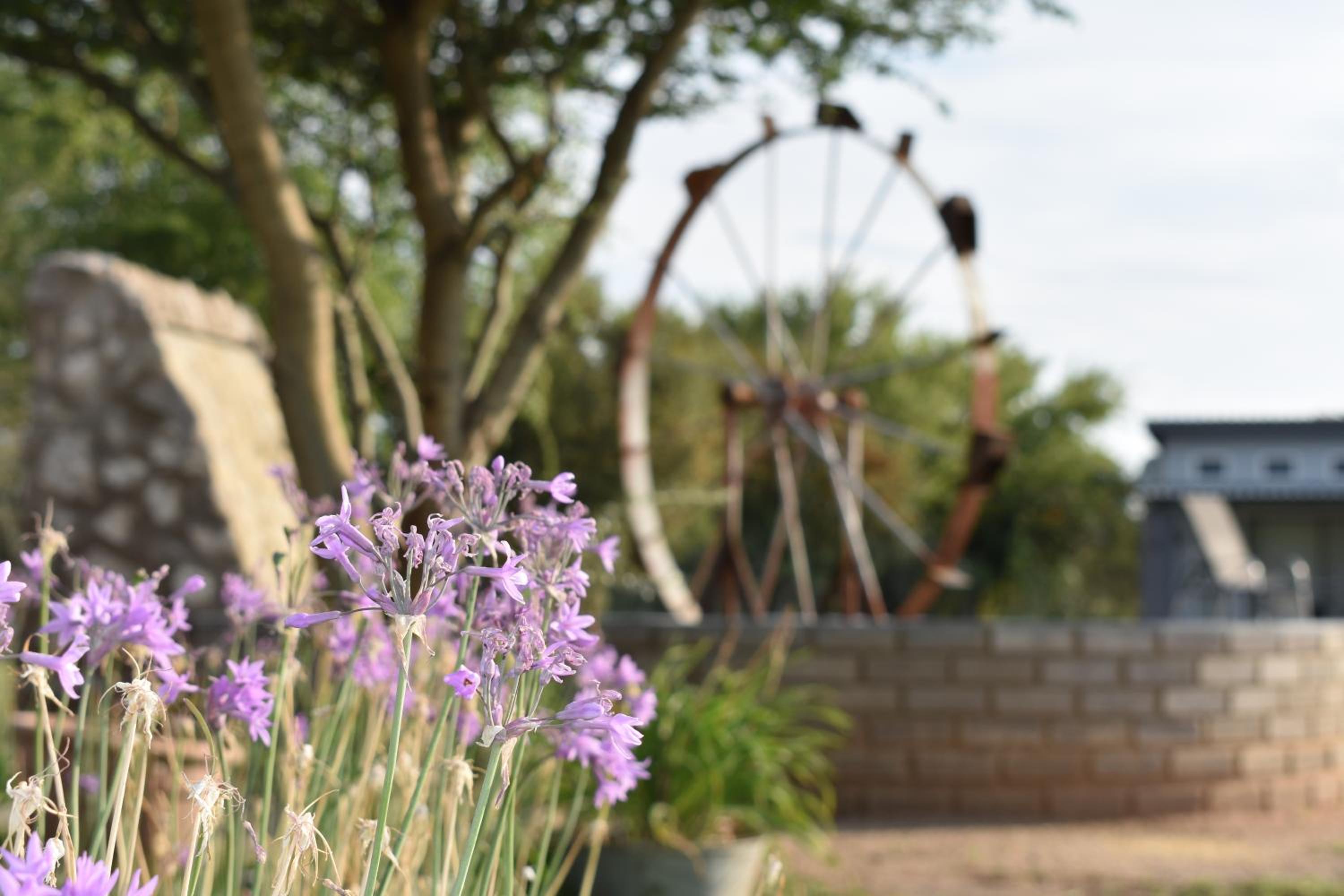 Symponia Guesthouse