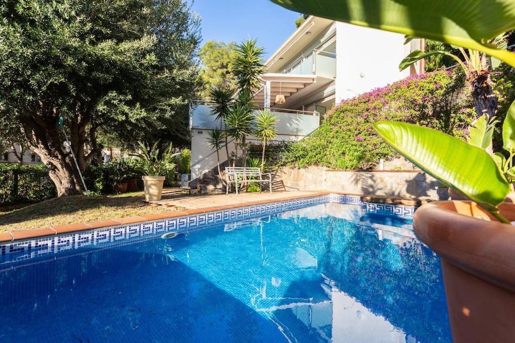 Villa Paraíso