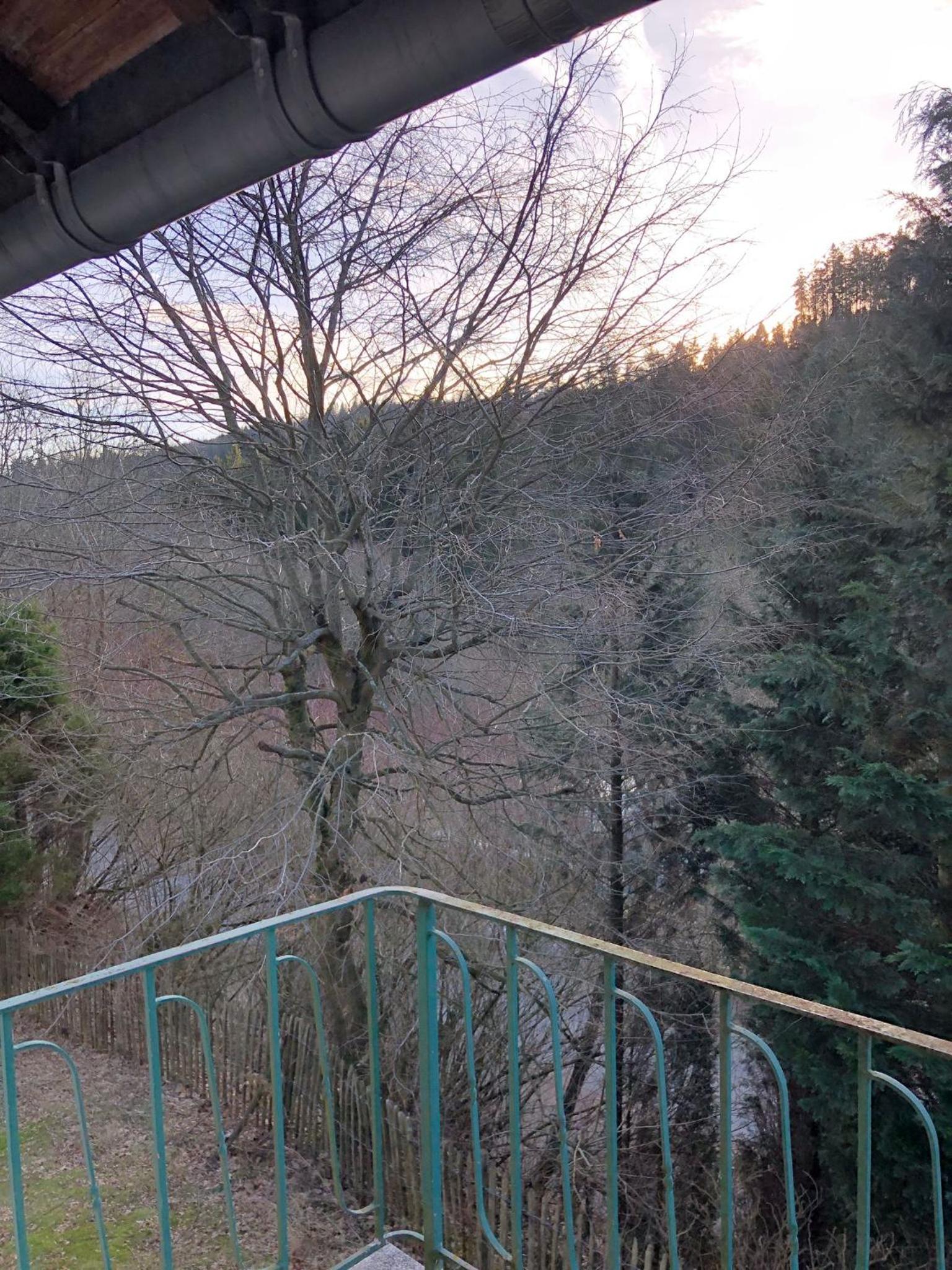 FeWo Wald Idyllika