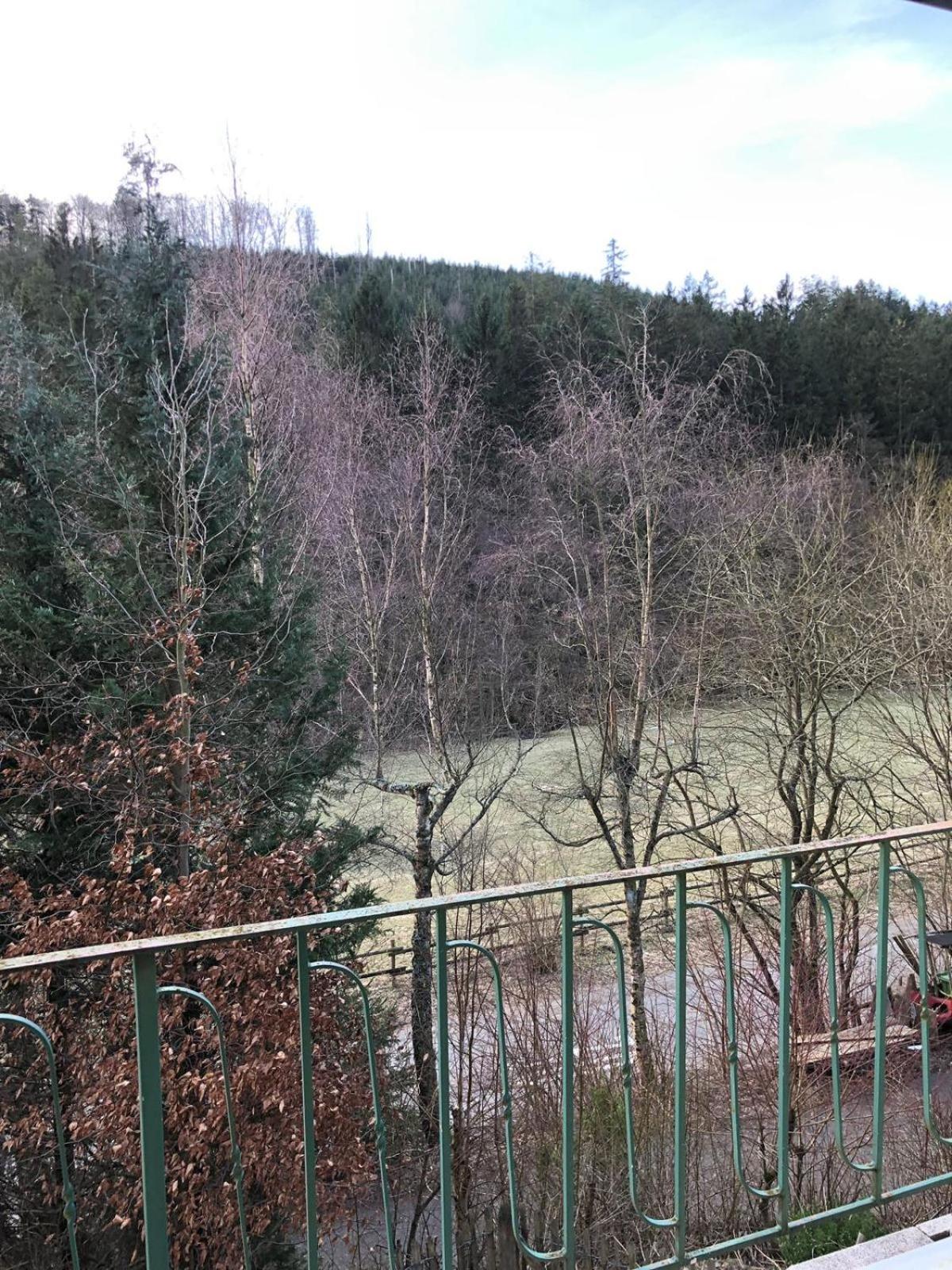 FeWo Wald Idyllika