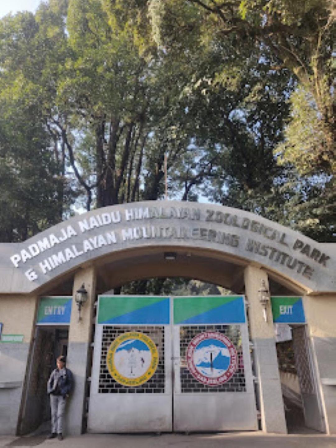 Mysa Maya Homestay Darjeeling