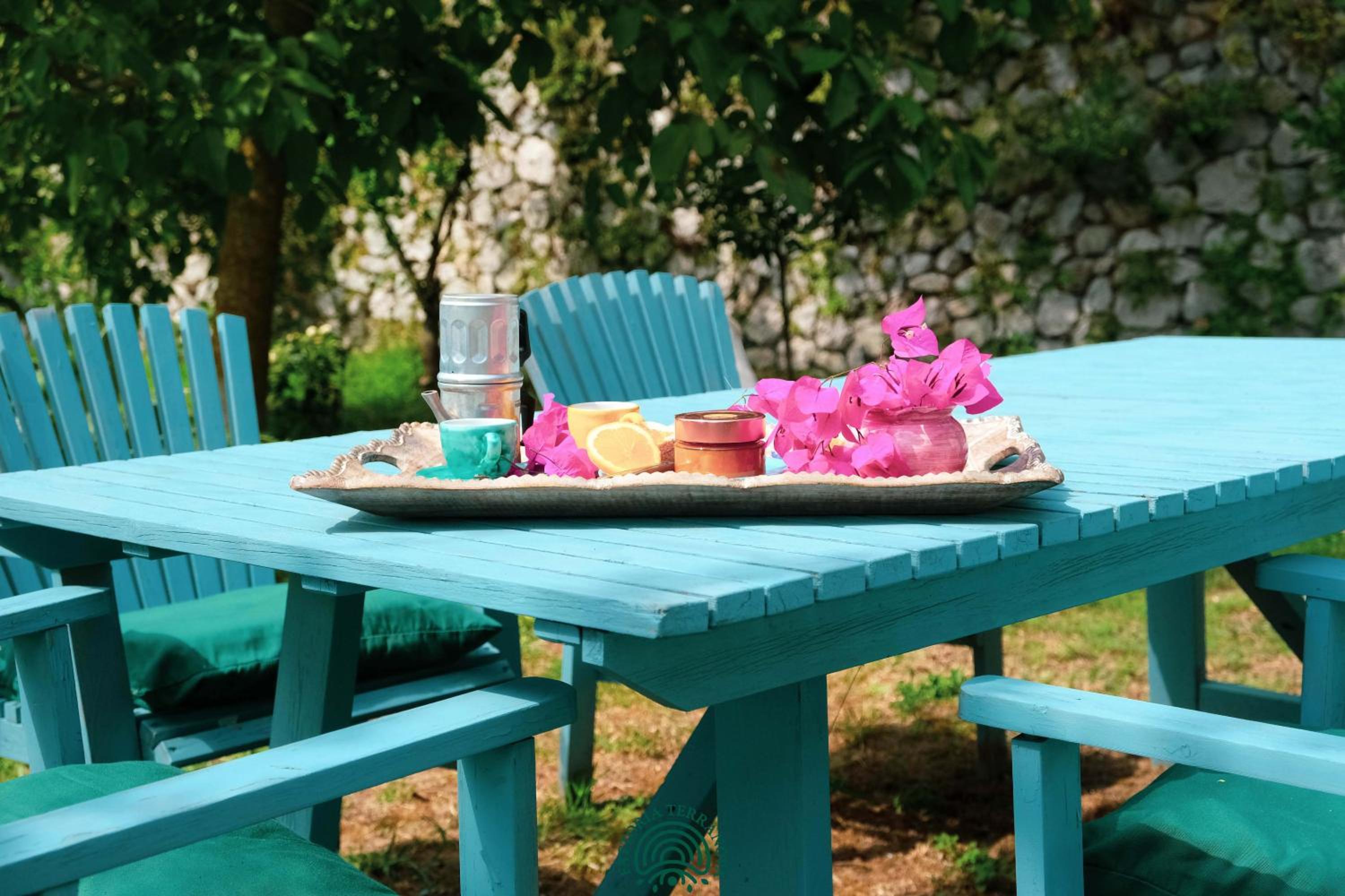 Agriturismo Fattoria Terranova