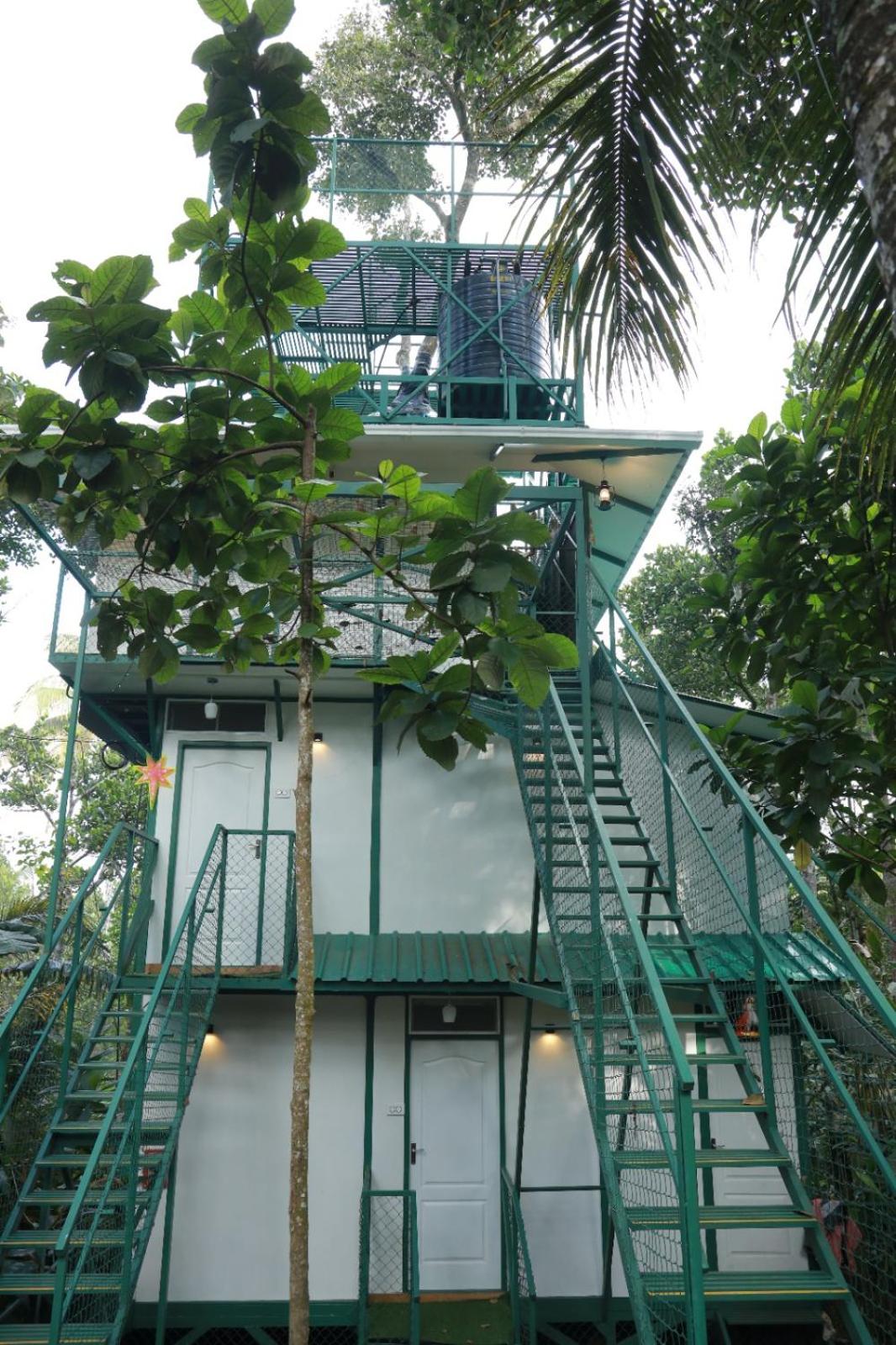 SpiceBuds TreeHouse - Idukki view 2