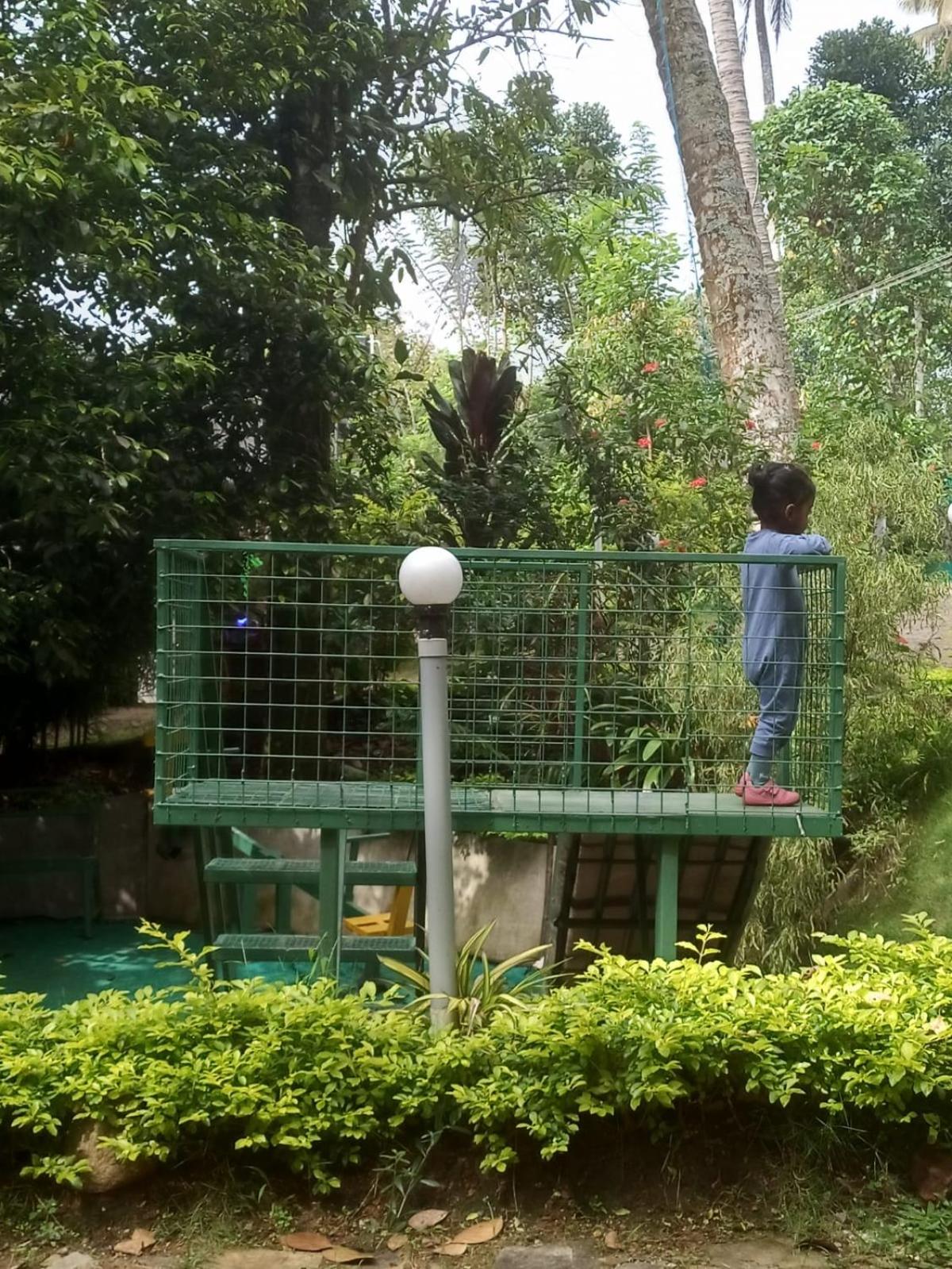 SpiceBuds TreeHouse - Idukki view 3
