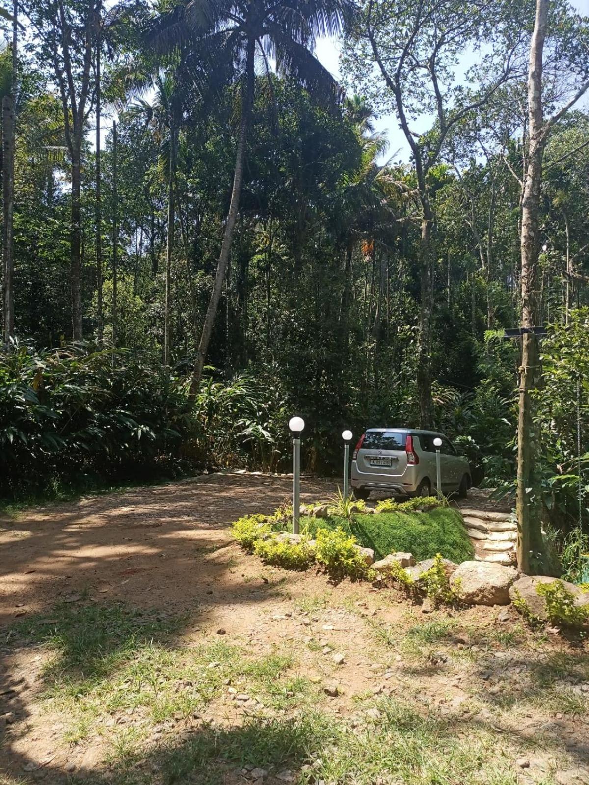 SpiceBuds TreeHouse - Idukki view 4