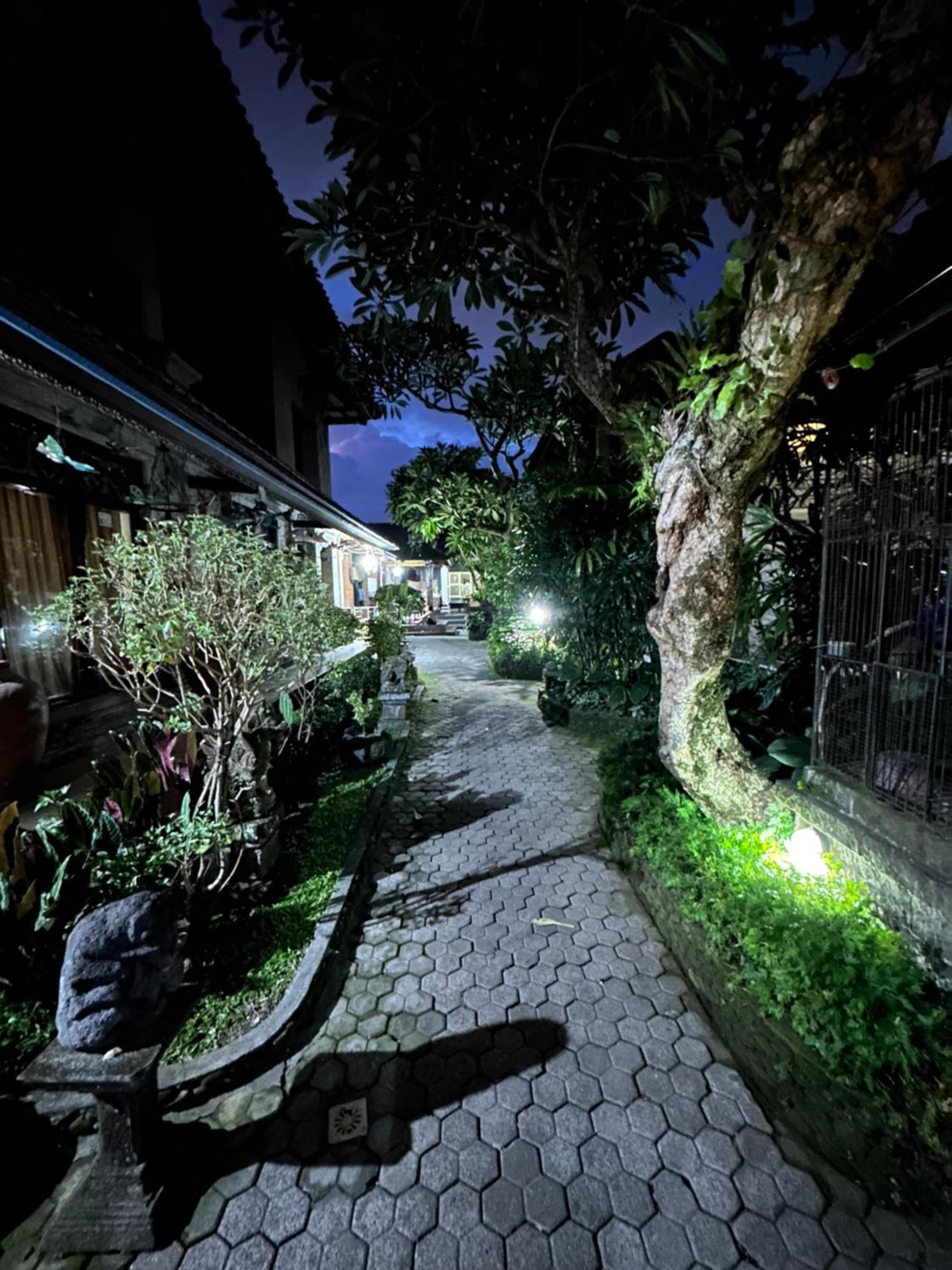 Nirvana Pension