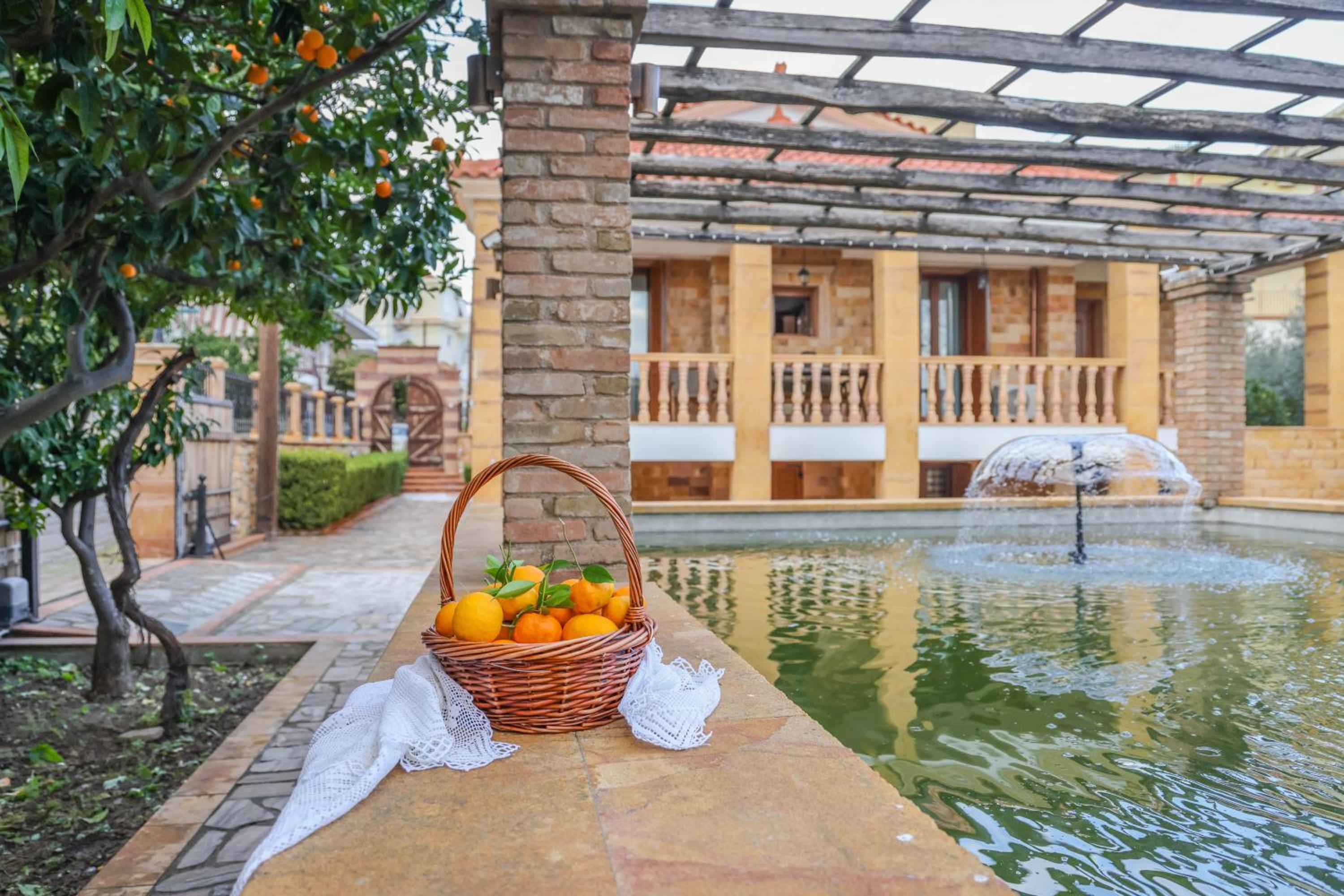 Archontiko Frideriki Luxury Apartments