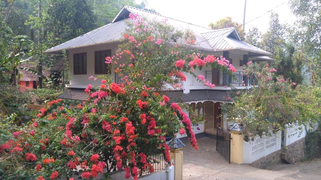 Dream Nest Homestay