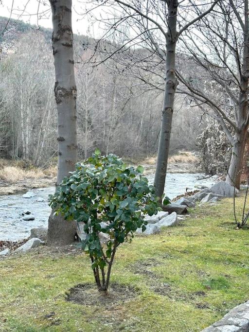 Acogedor alojamiento en Martinet, Cerdanya, Puigcerdá