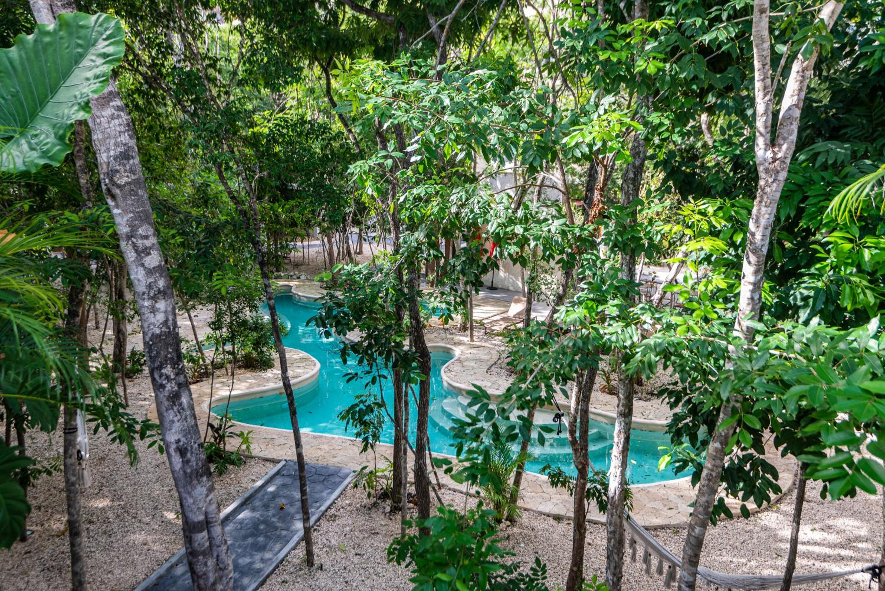 Chic king studio + jacuzzi view 4