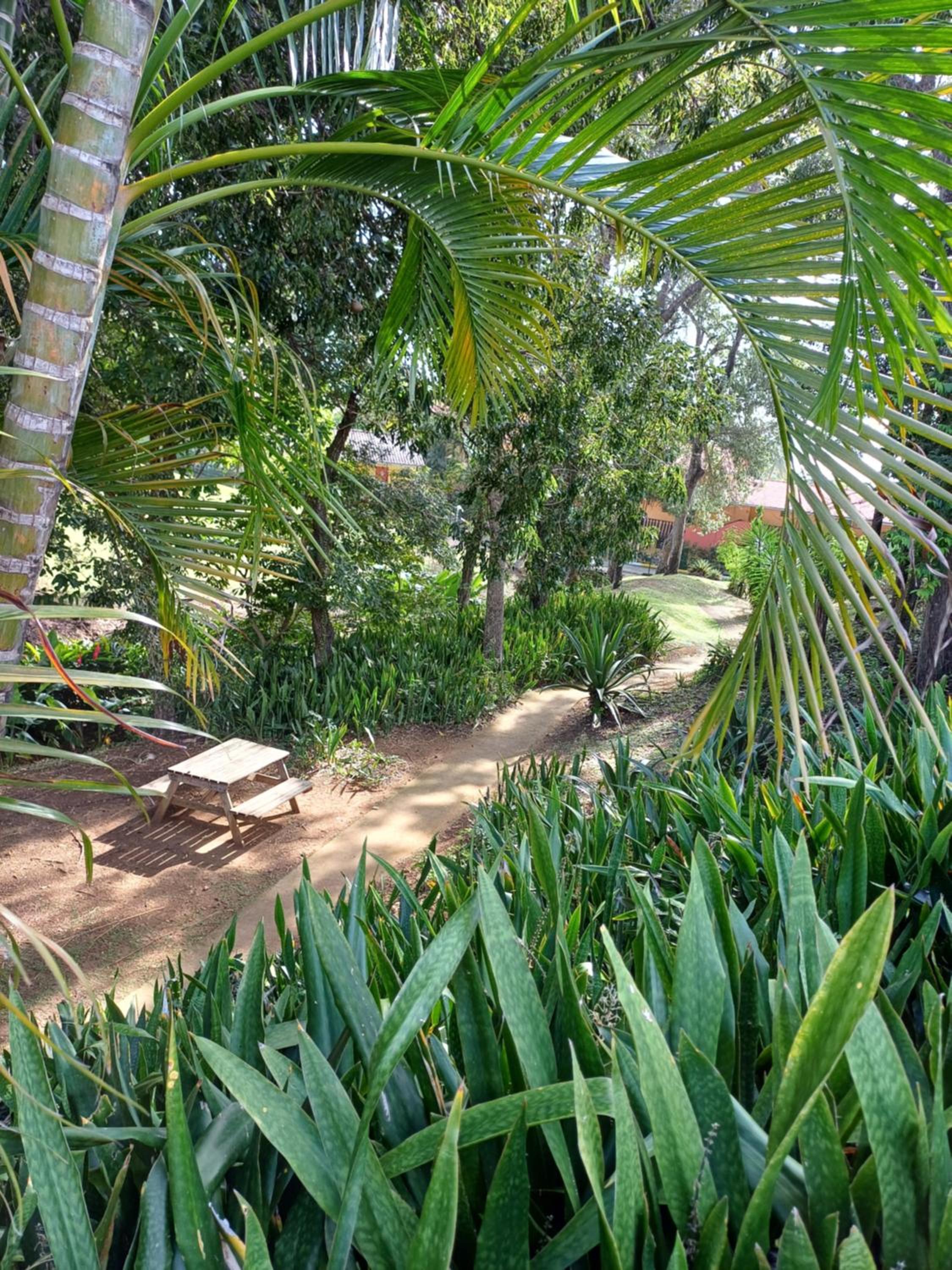 Photo 13