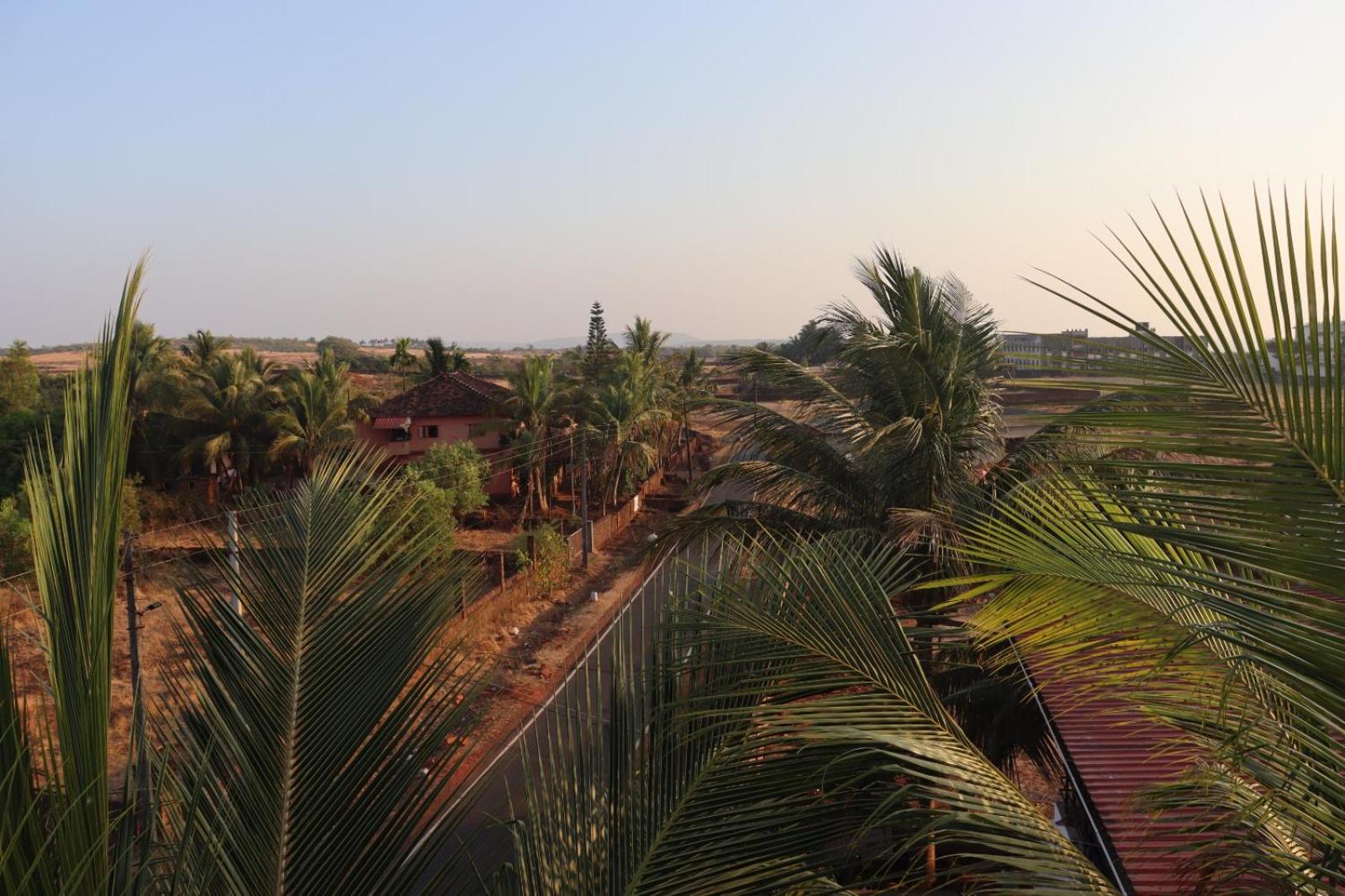 Exotic Oceanview