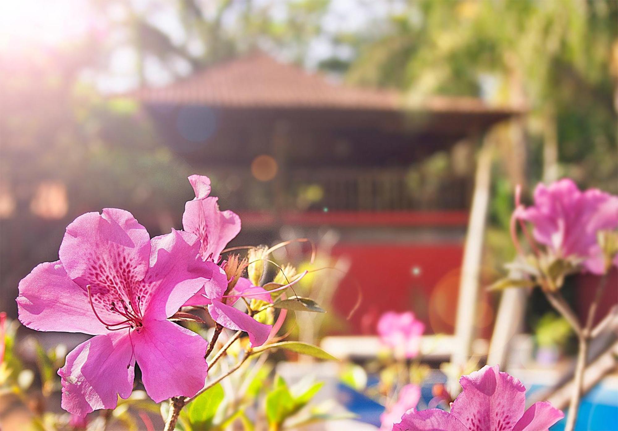 Smart Hotel Reserva Camburi