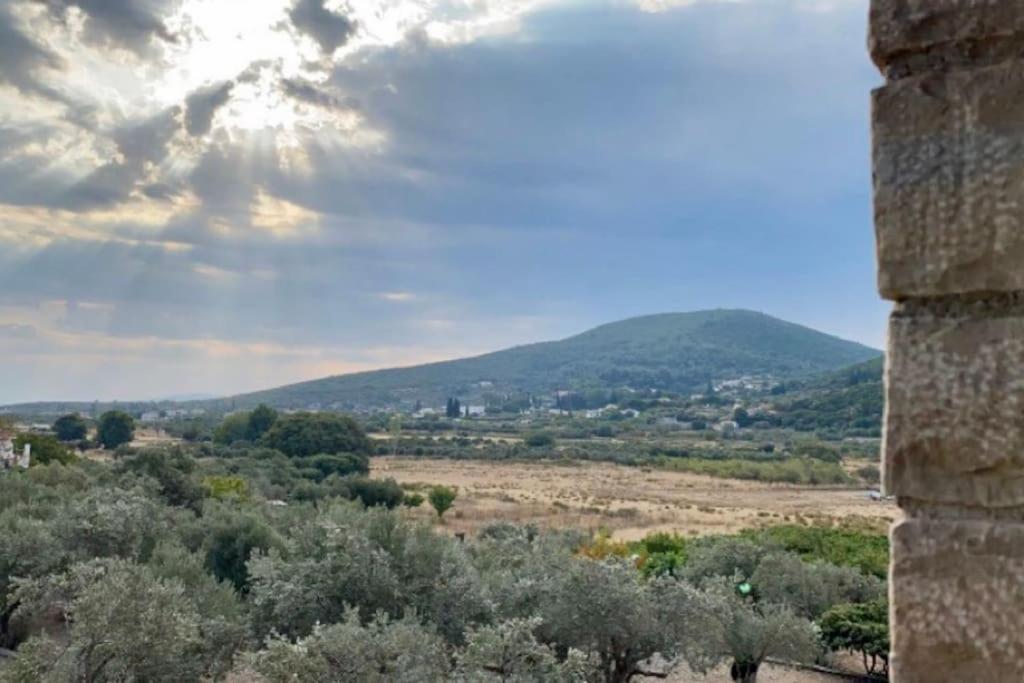 Villa Vlamari