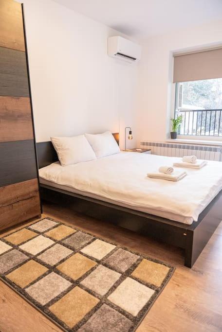 Digital Nomad Suites with Free Gym Pass and Office Setup